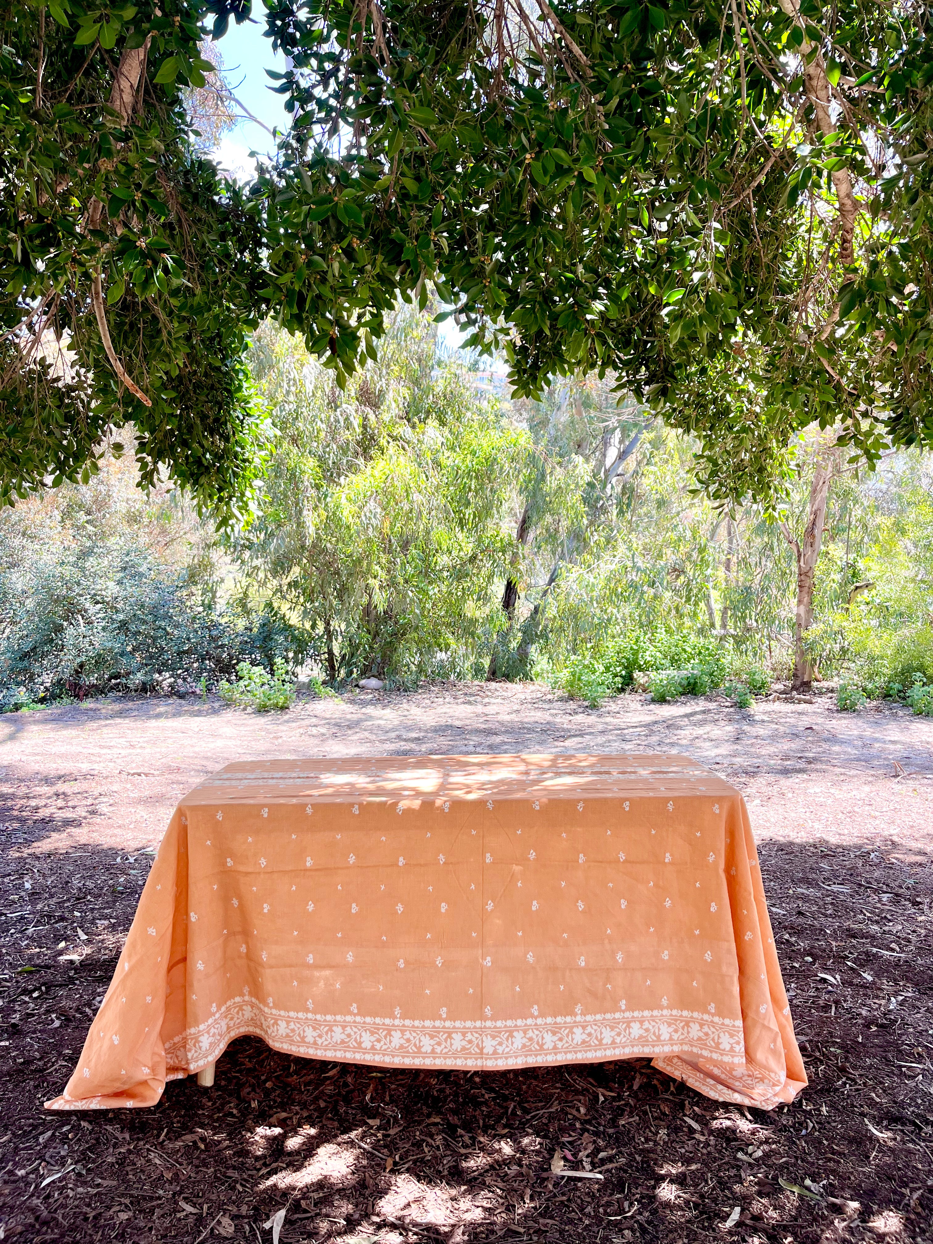 Odessa Embroidered Tablecloth - Apricot