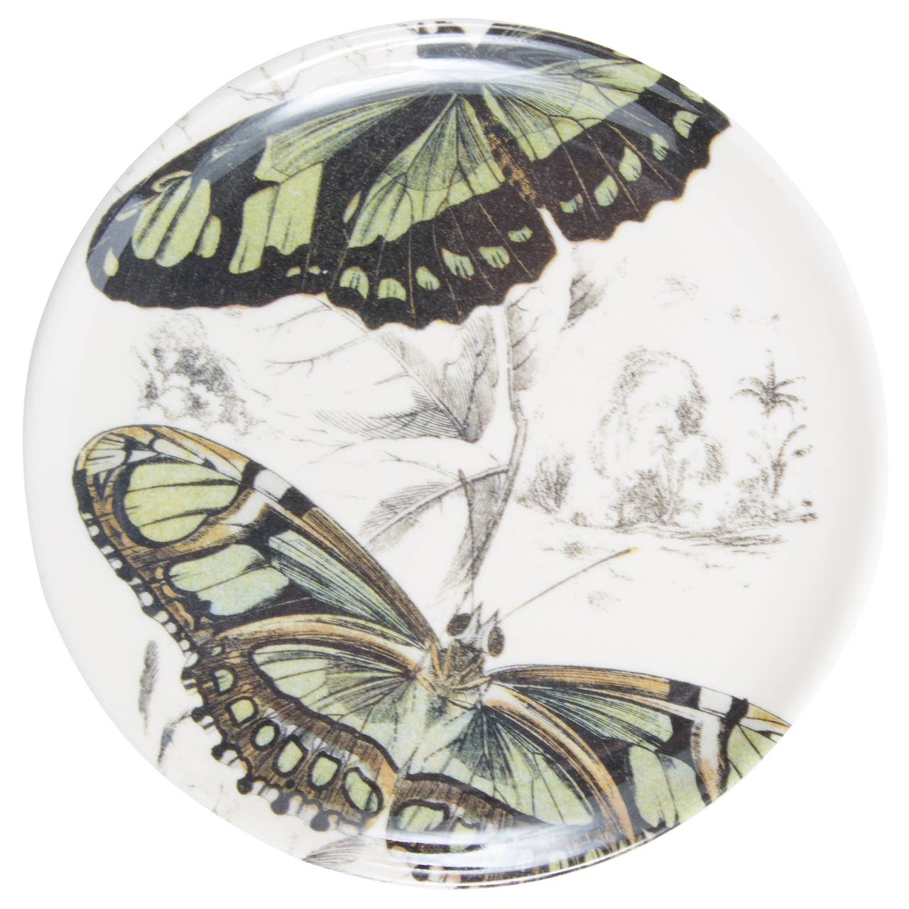 Butterfly Coasters S/4