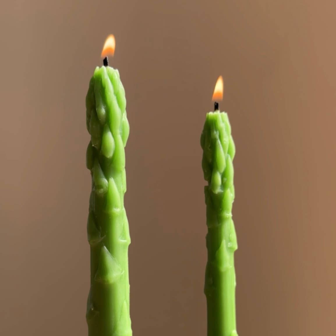 Asparagus Beeswax Taper Candles- S/2
