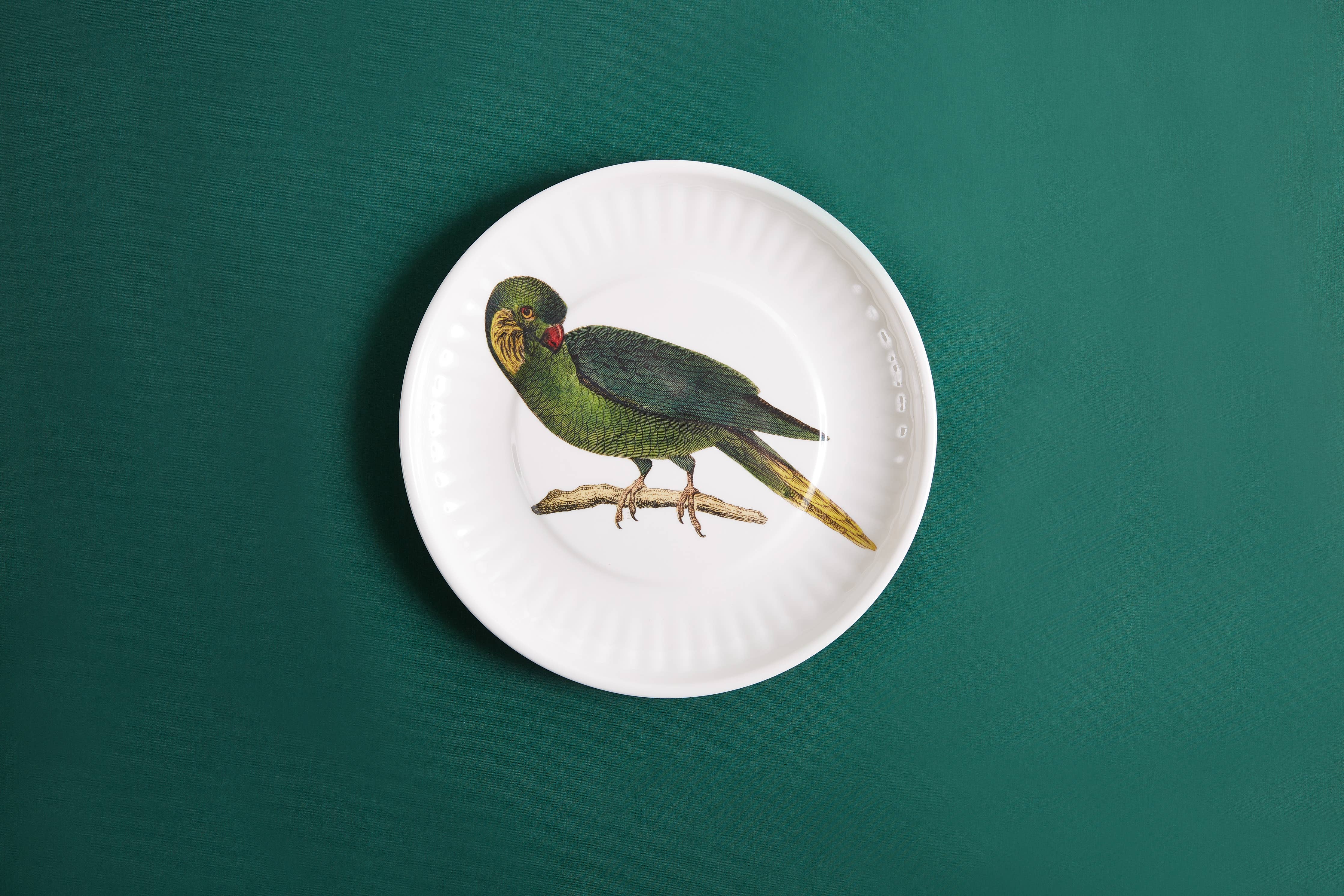Parrot Melamine Dinner Plates - S/4