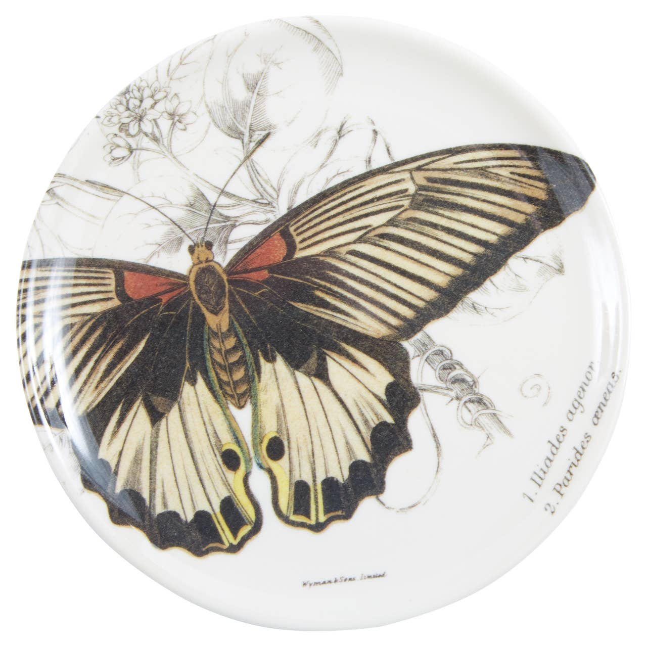 Butterfly Coasters S/4
