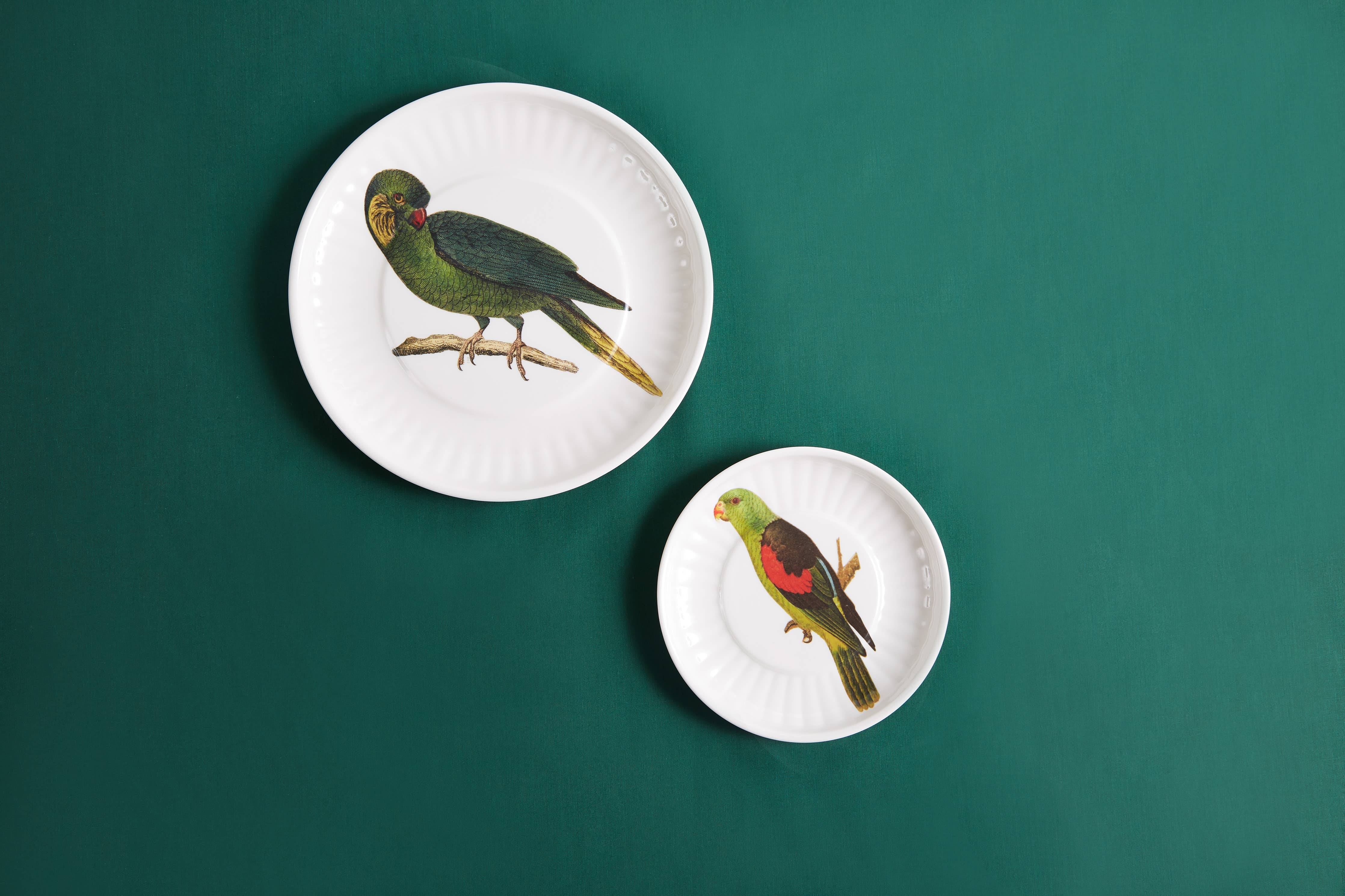 Parrot Melamine Dinner Plates - S/4