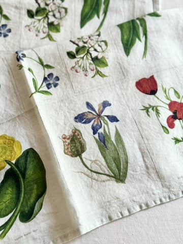 John Derian X SB Botanical Tiles Napkins - S/4