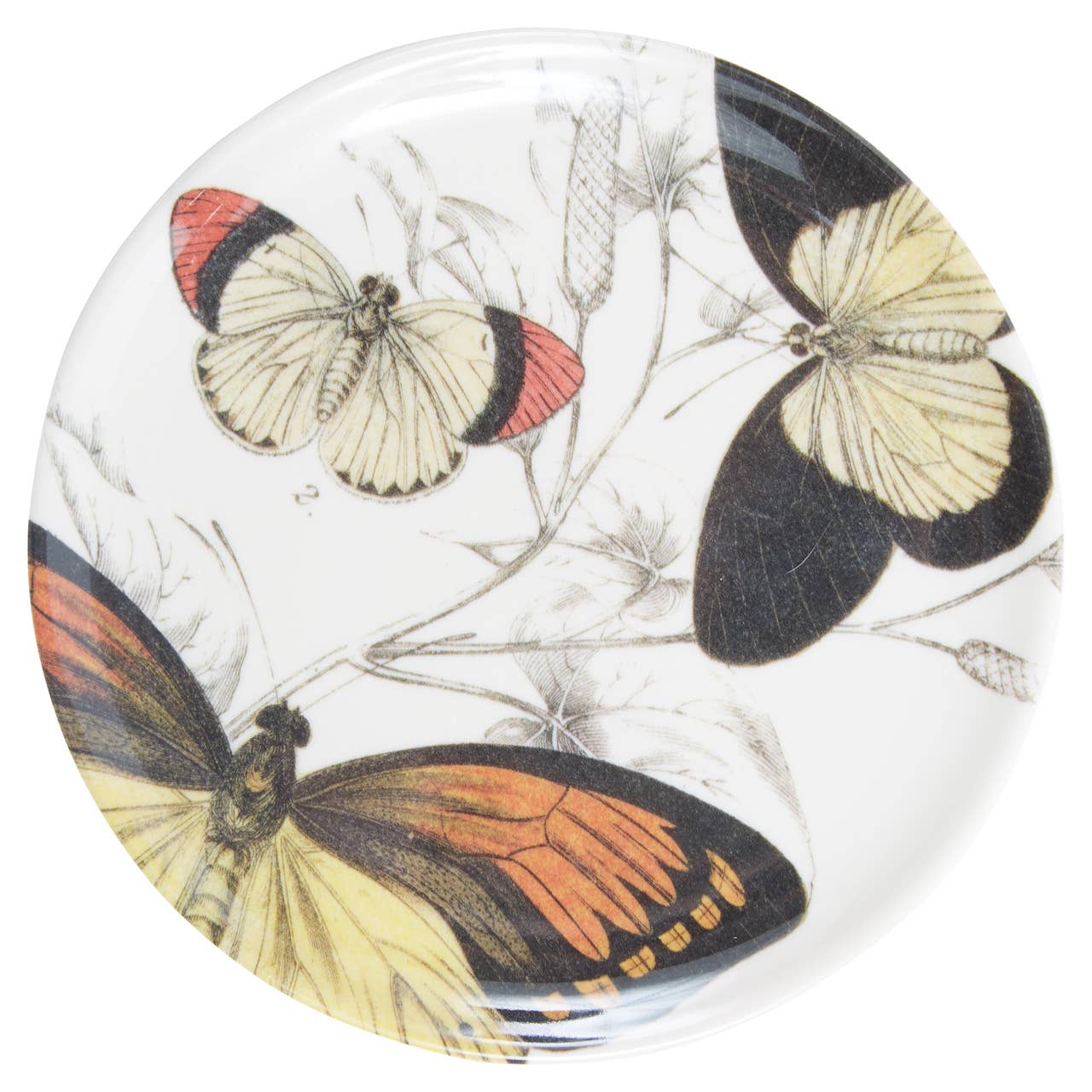 Butterfly Coasters S/4