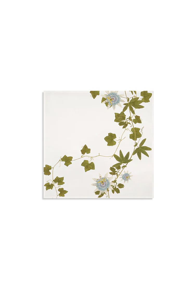 Passiflora Napkins - S/4