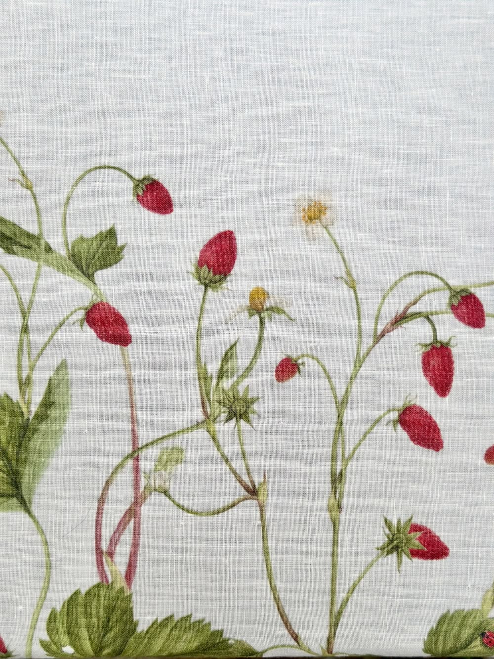 Fraises des Bois Tablecloth - 3 sizes available