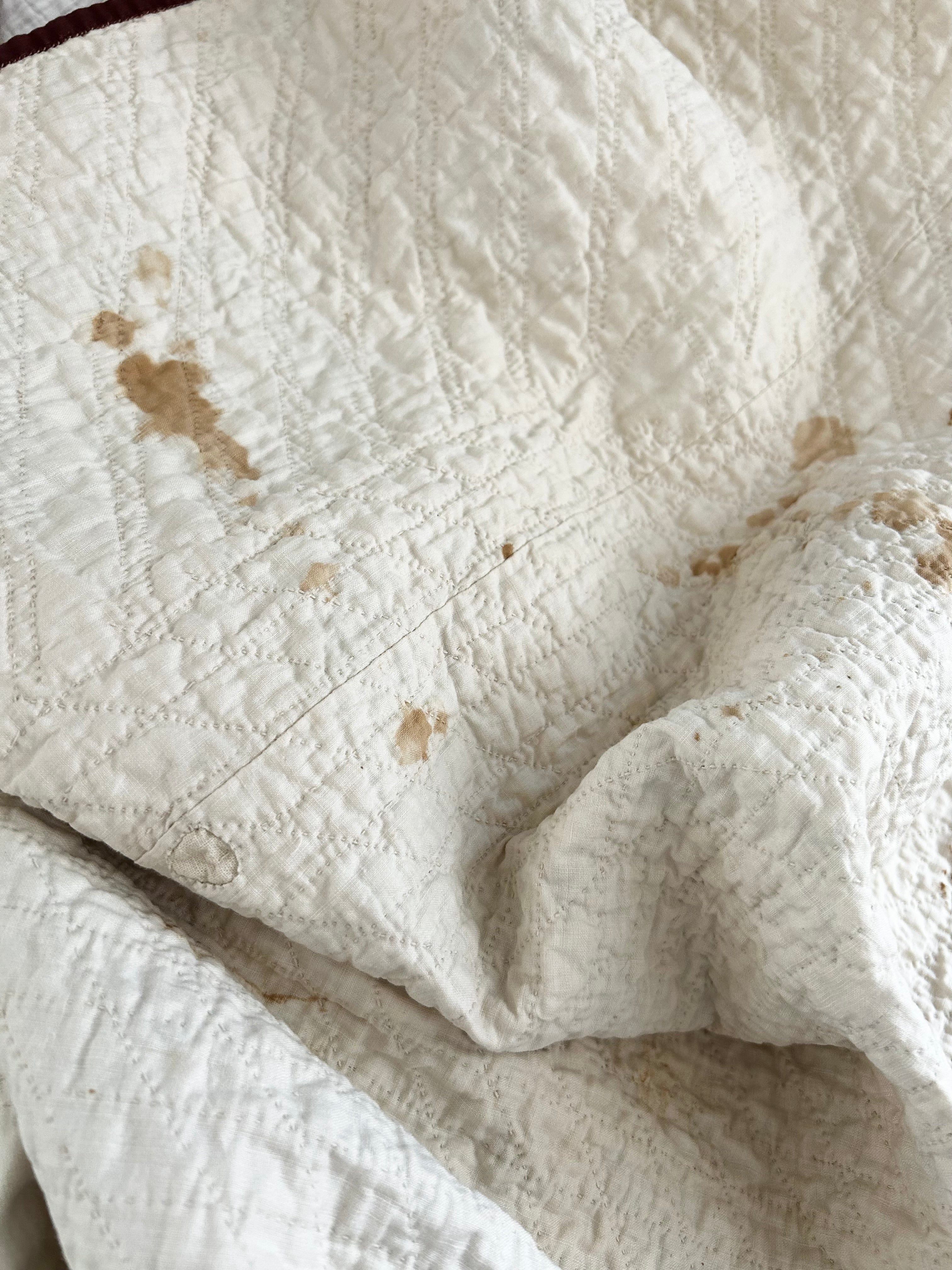 Historic Aster Heirloom Quilt 1800's