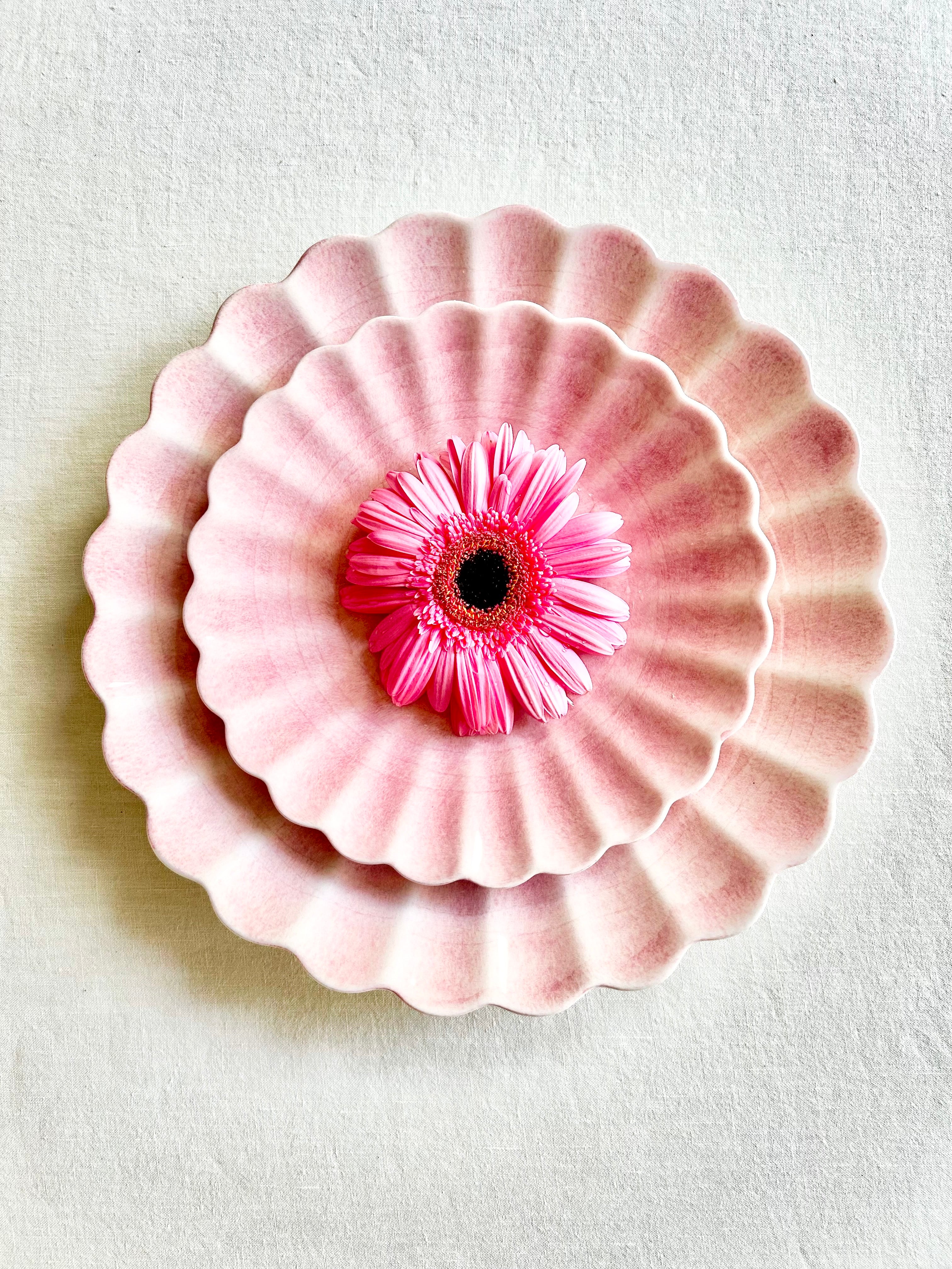 Oyster Dinnerware - Blush - S/4