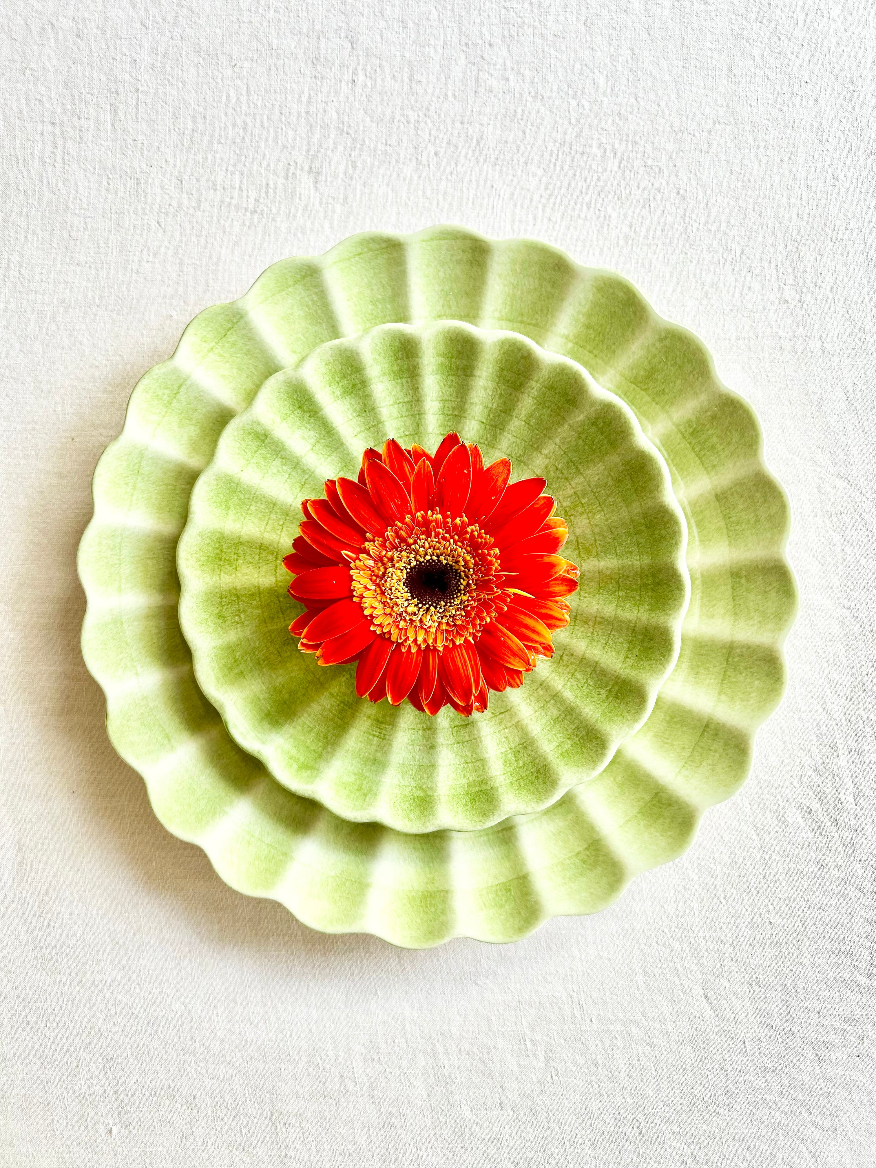 PRE-ORDER - Oyster Dinnerware - Spring Green S/4