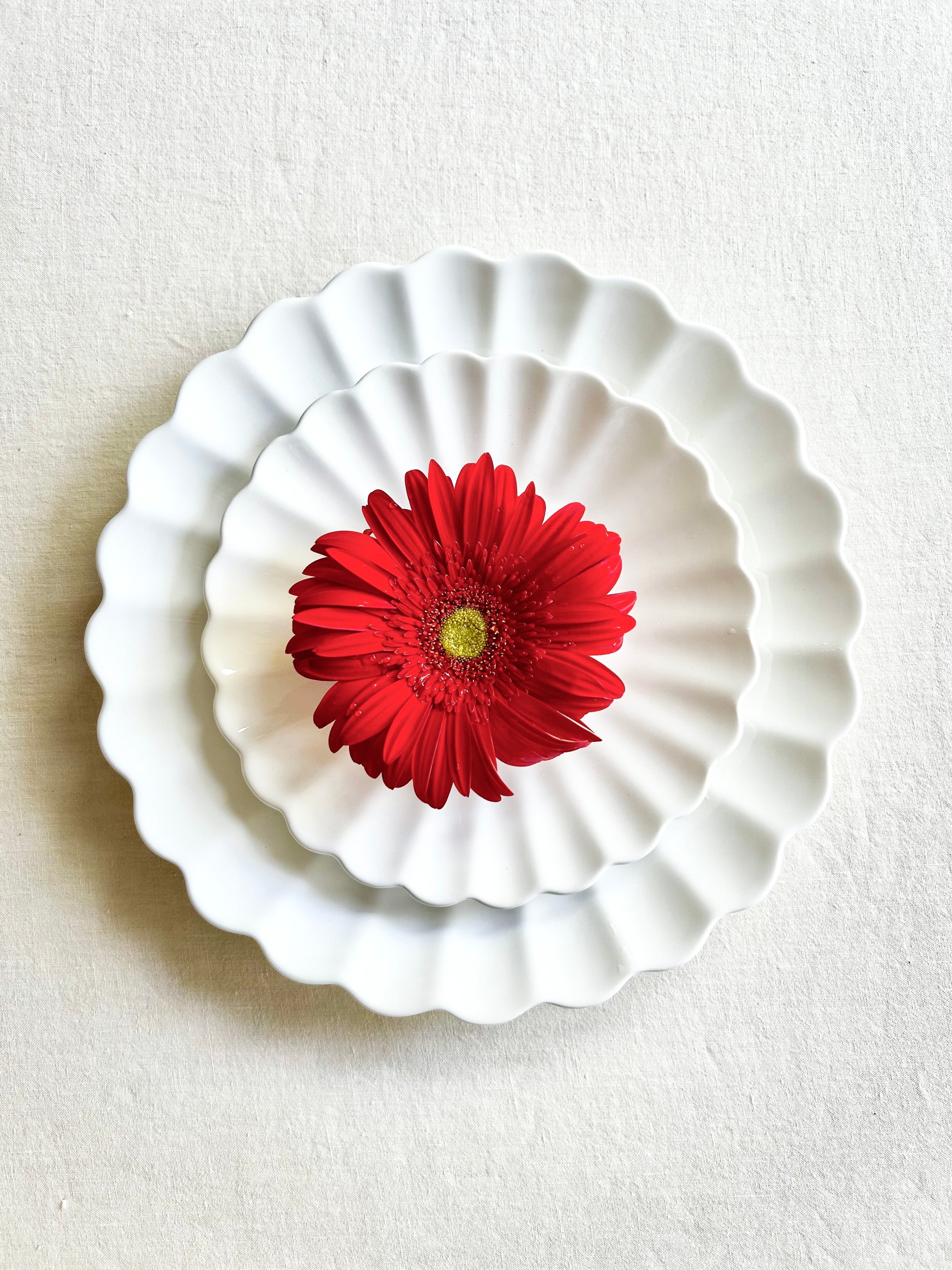 Oyster Dinnerware - White - S/4