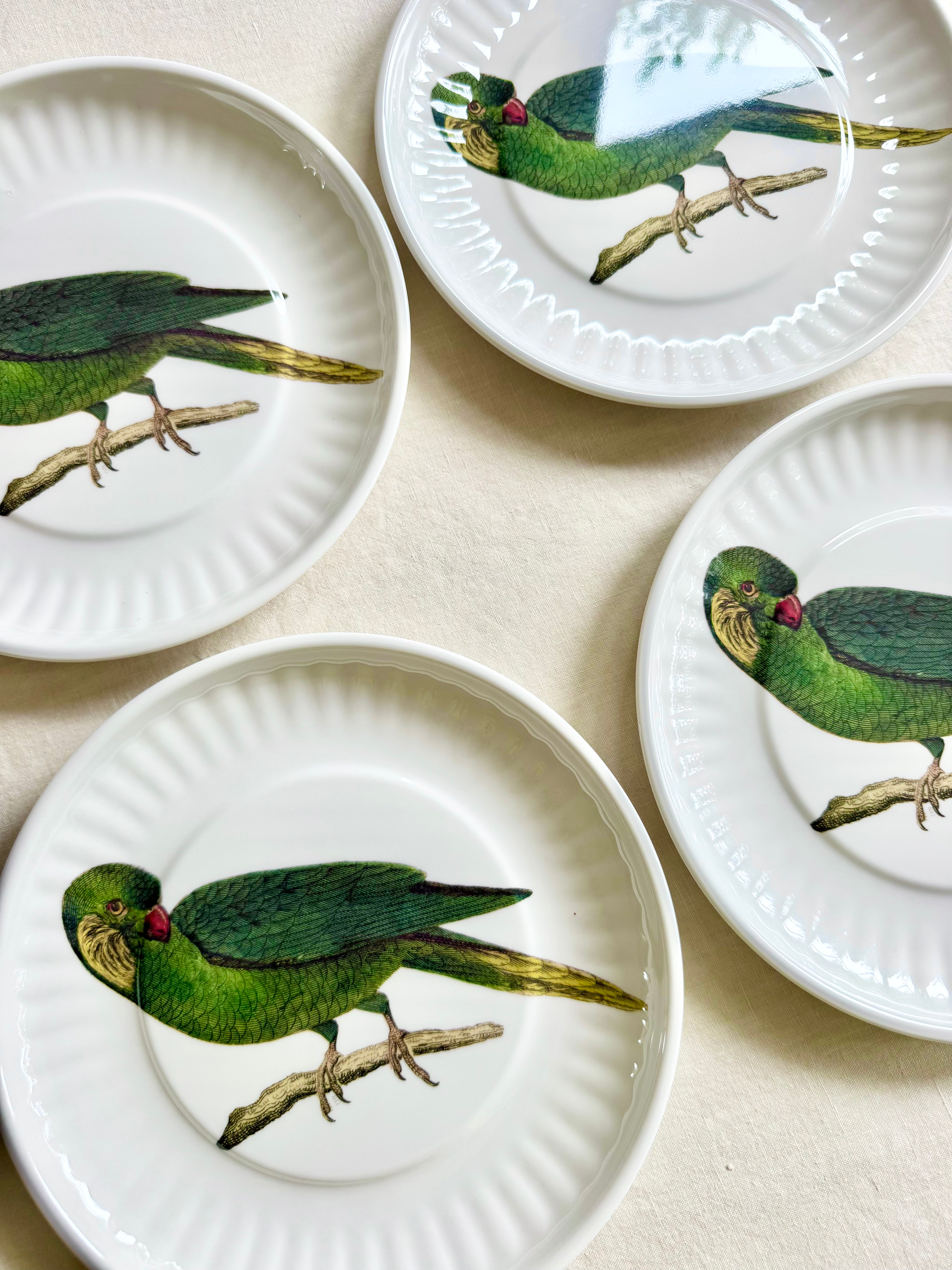 Parrot Melamine Dinner Plates - S/4