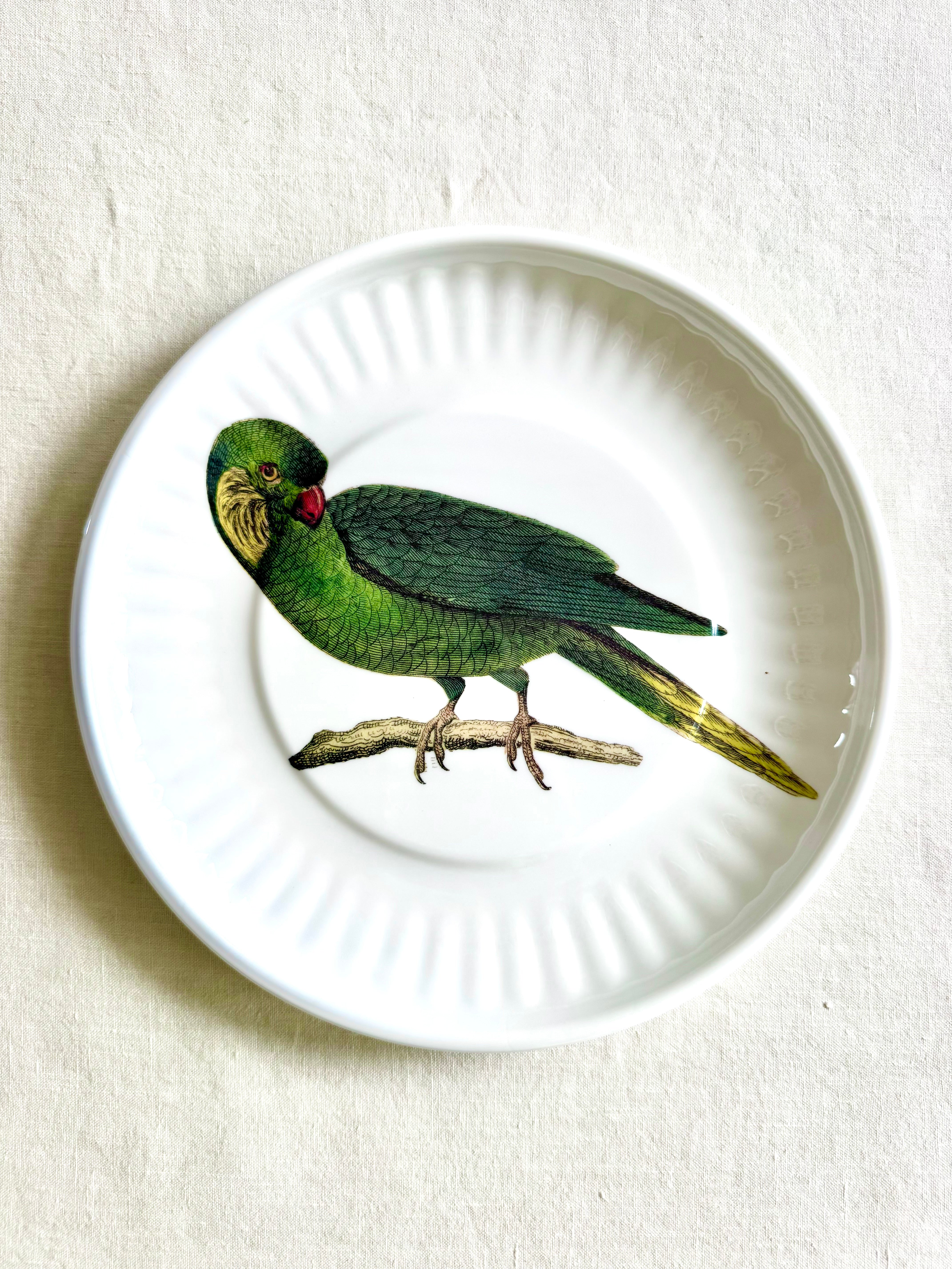 Parrot Melamine Dinner Plates - S/4