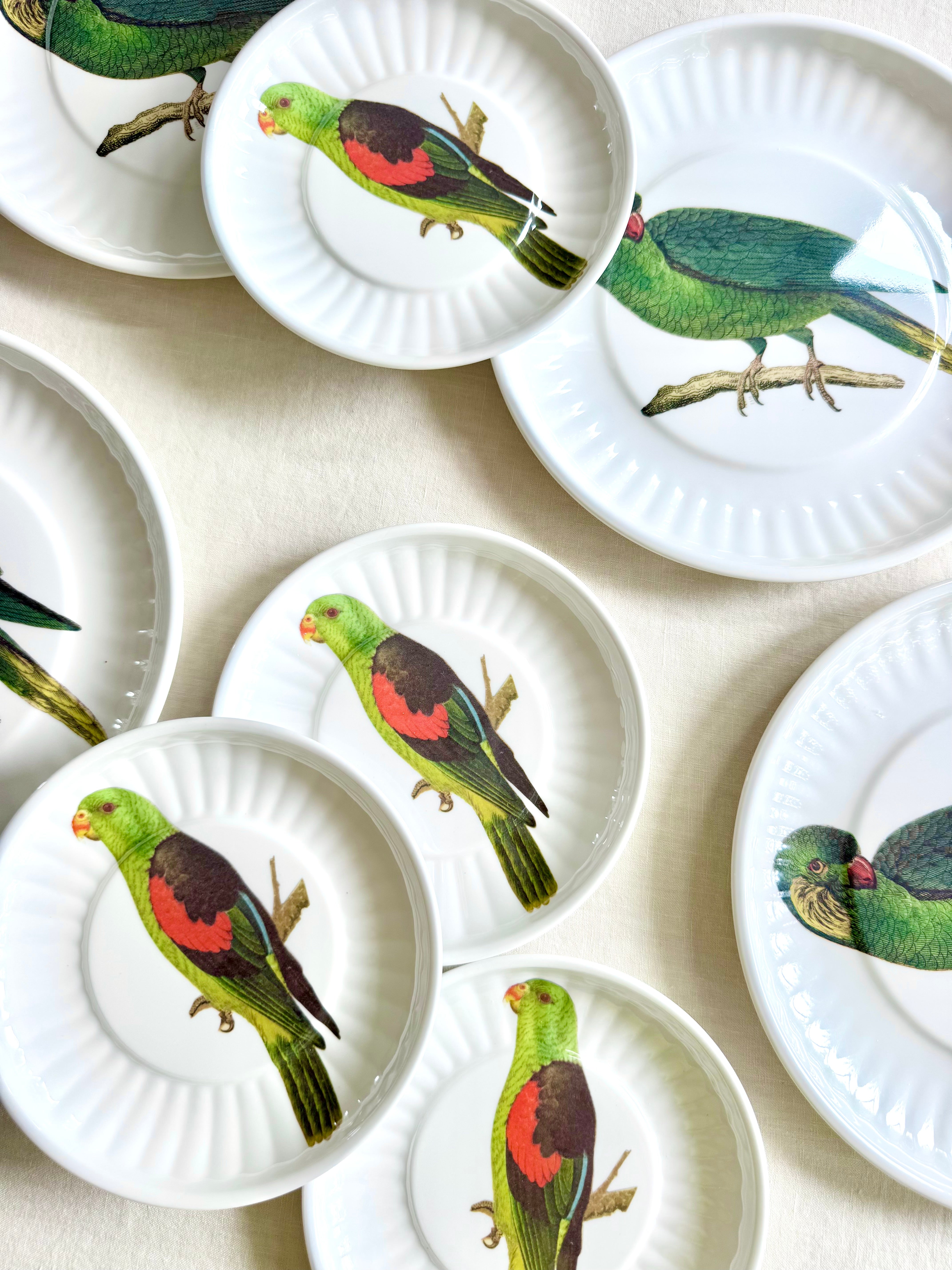 Parrot Melamine Fruit Plates - S/4