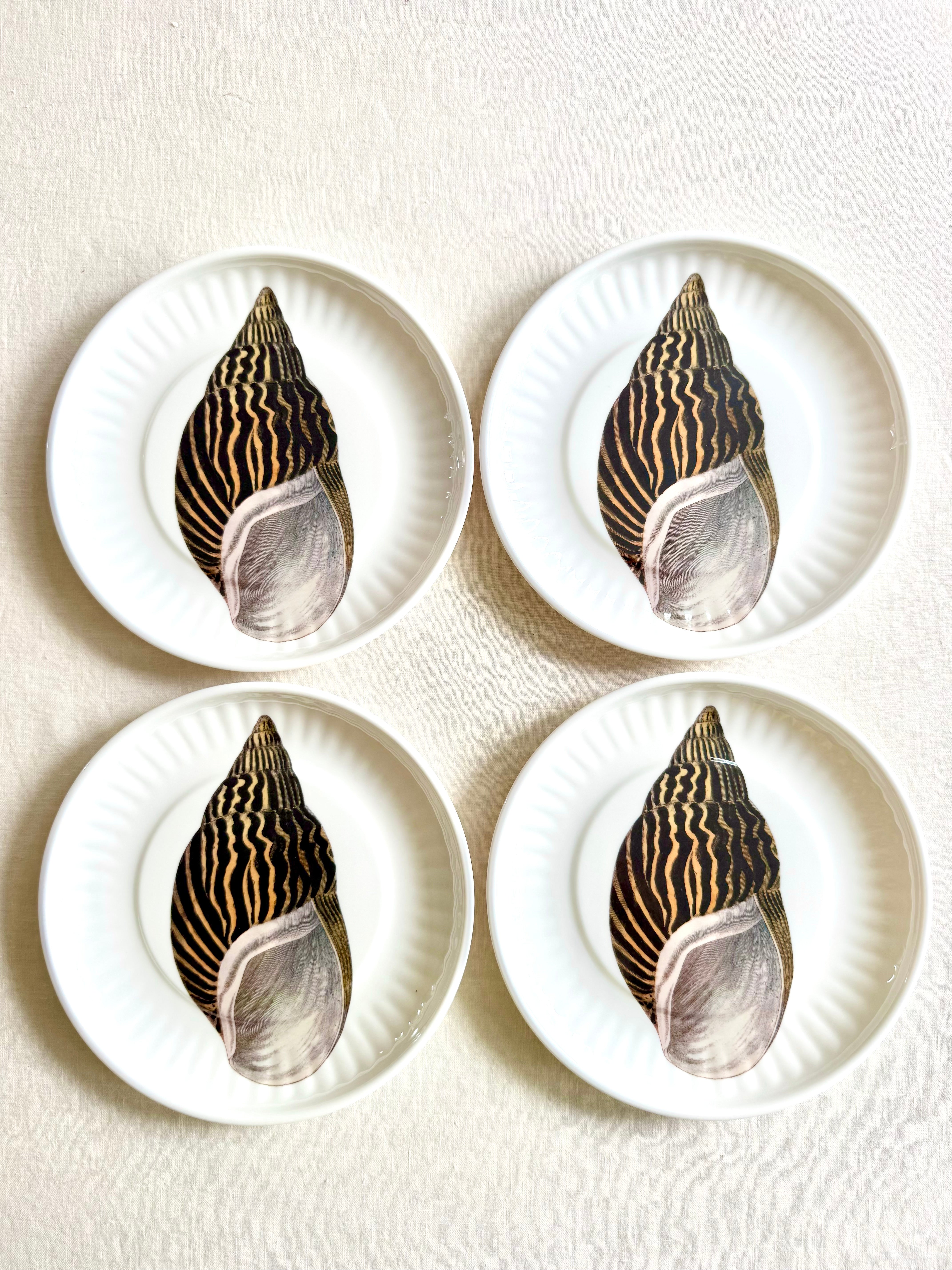Conch Melamine Dinner Plates - S/4