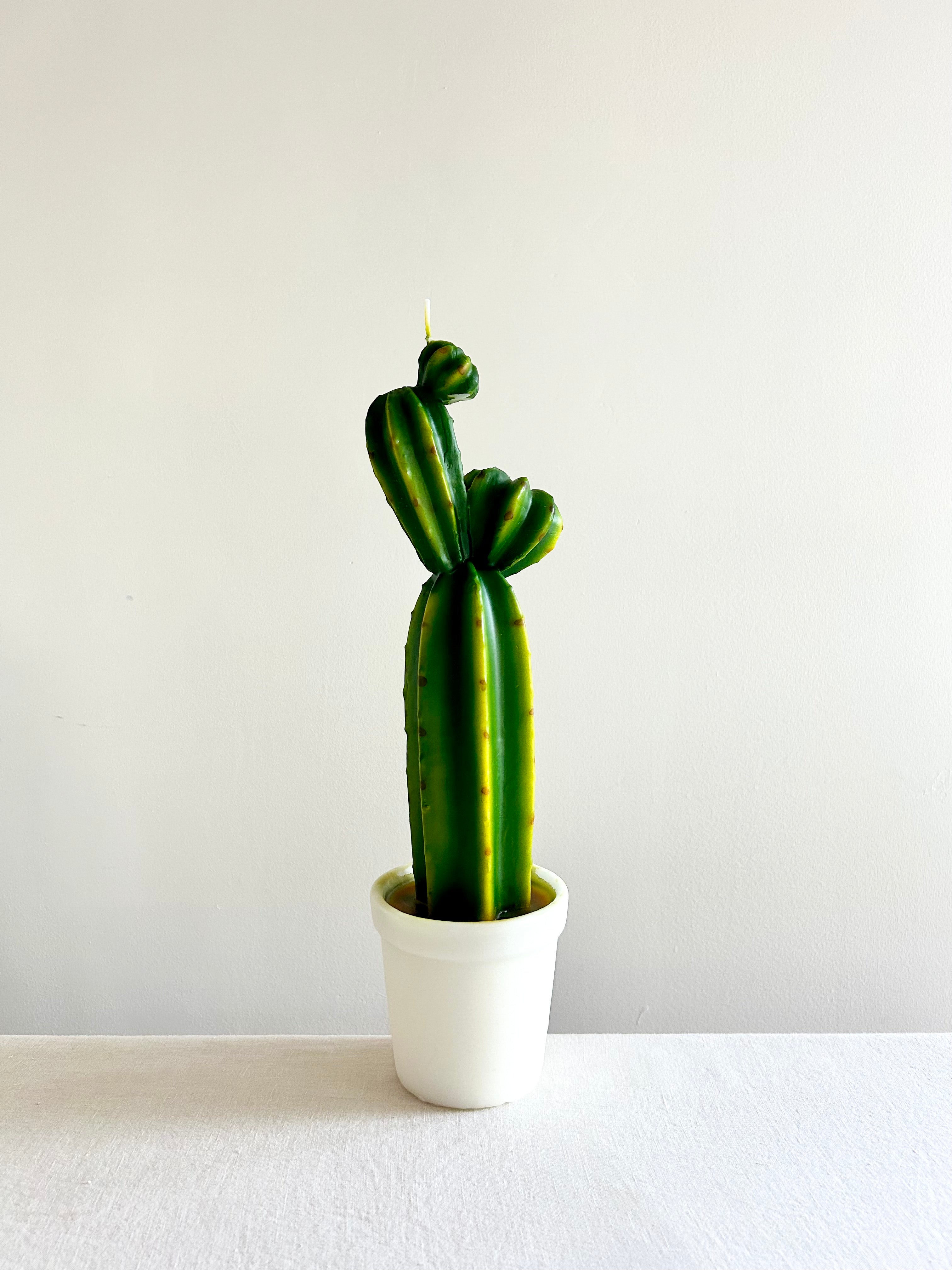 Potted Cactus Candle