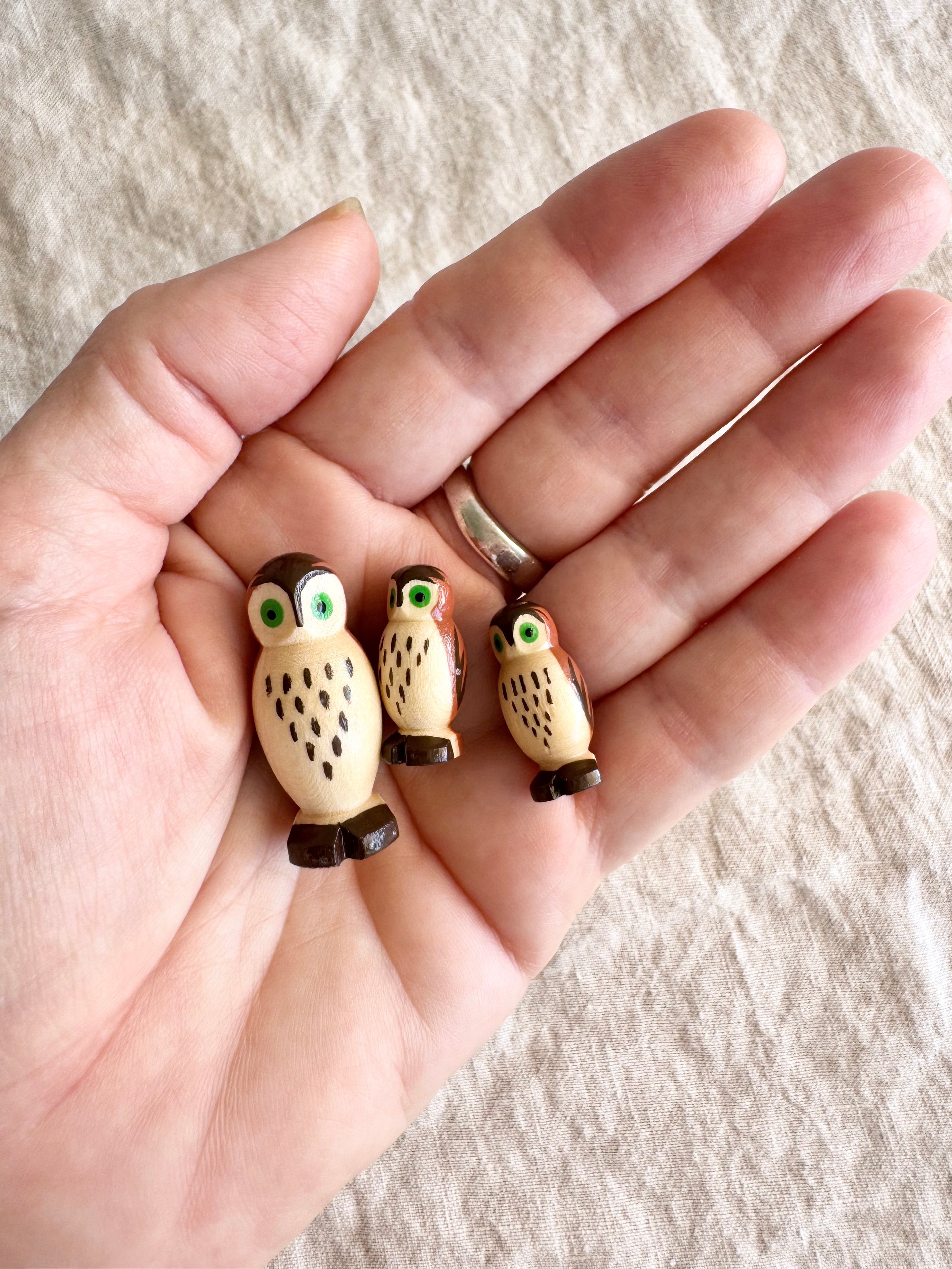Mini Owl Family- S/3