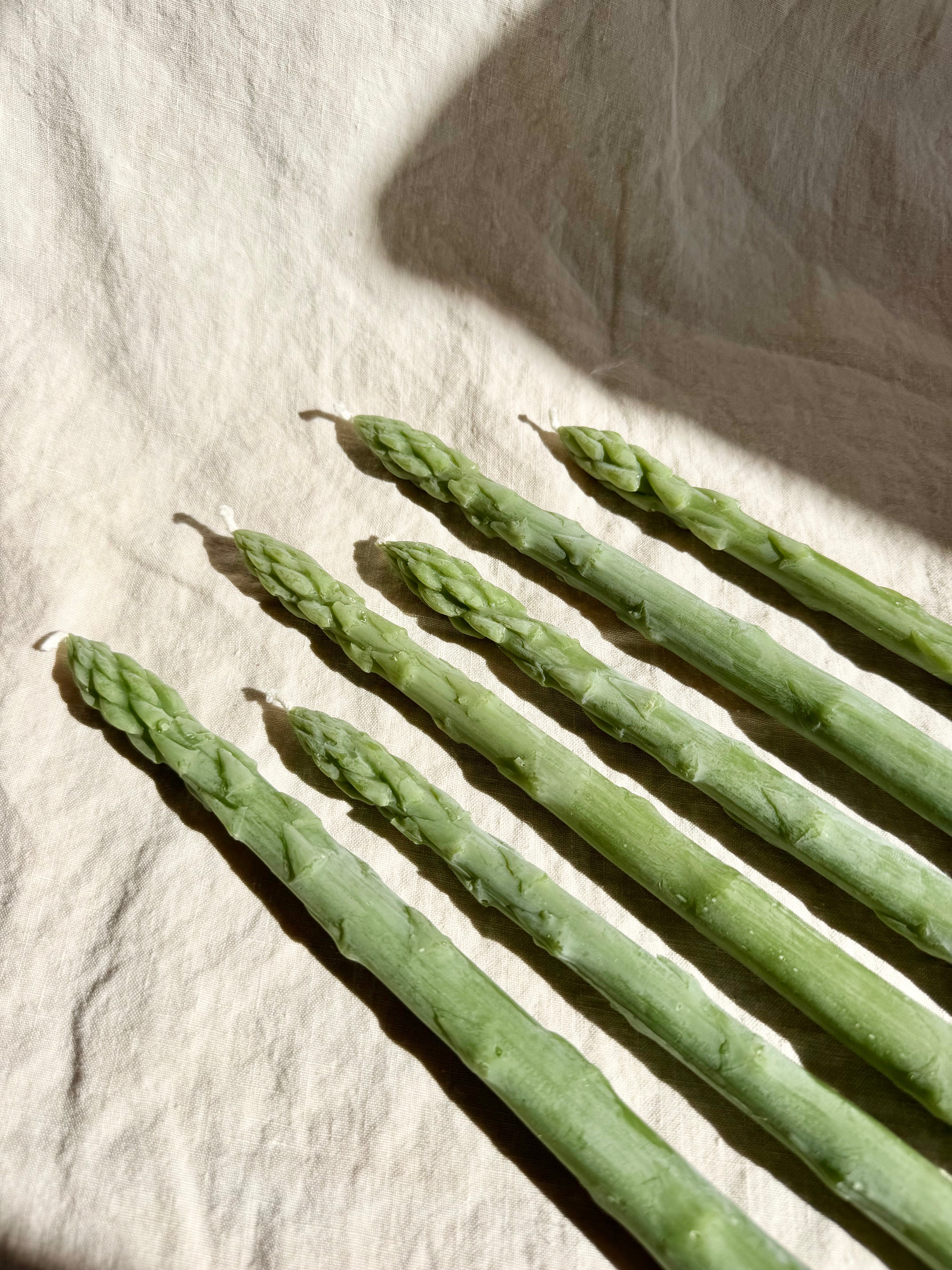 Asparagus Beeswax Taper Candles- S/2