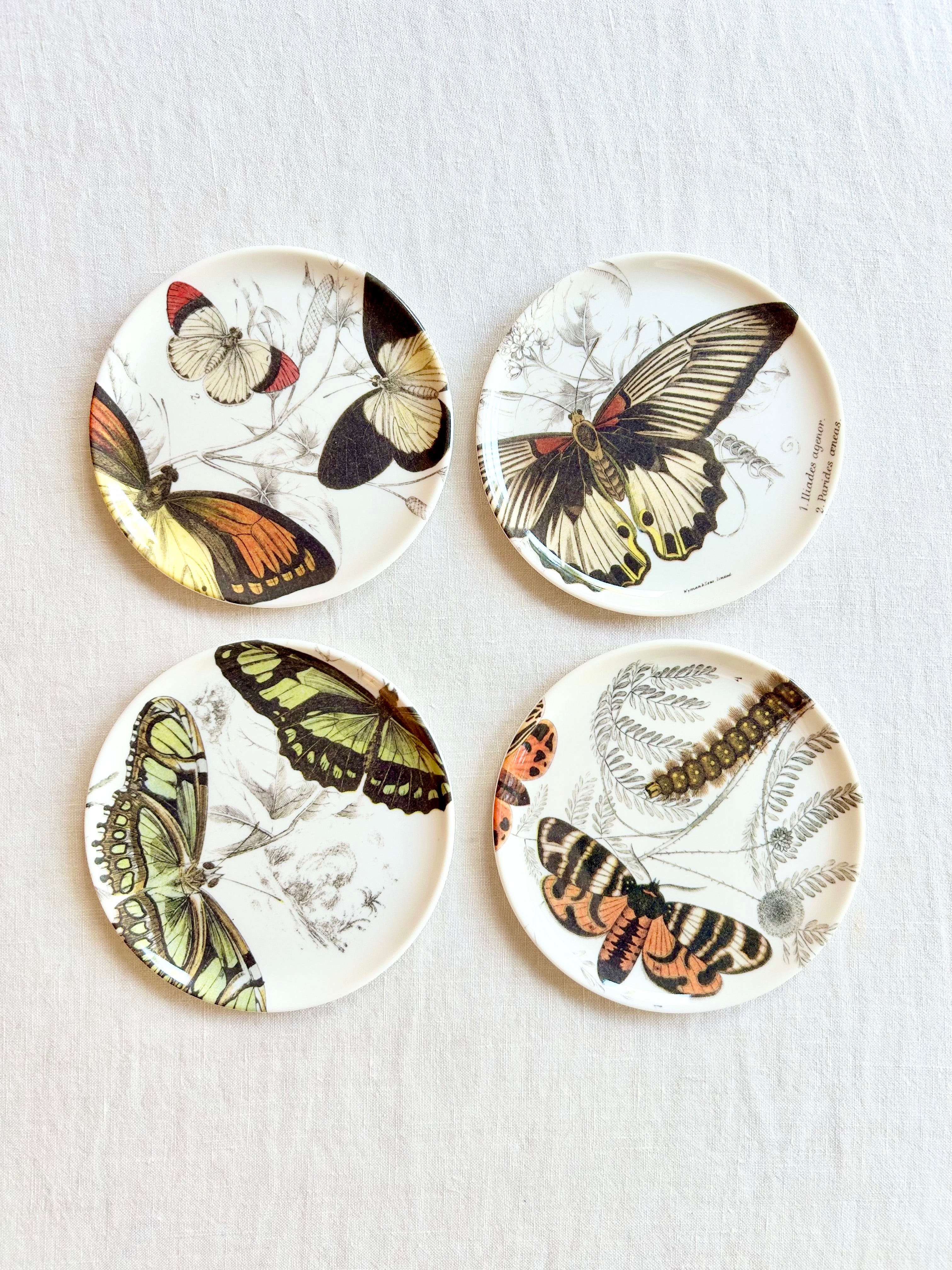Butterfly Coasters S/4