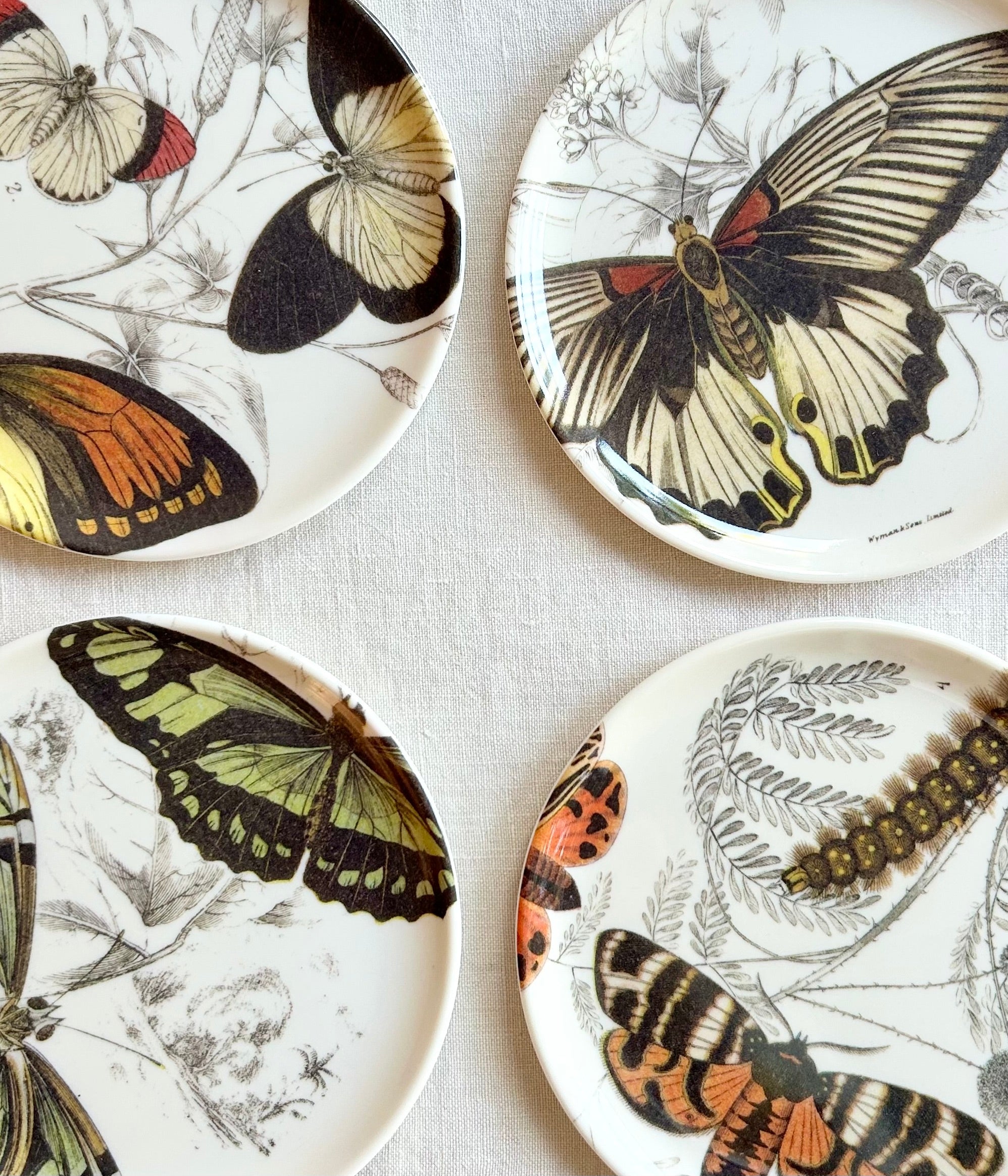 Butterfly Coasters S/4