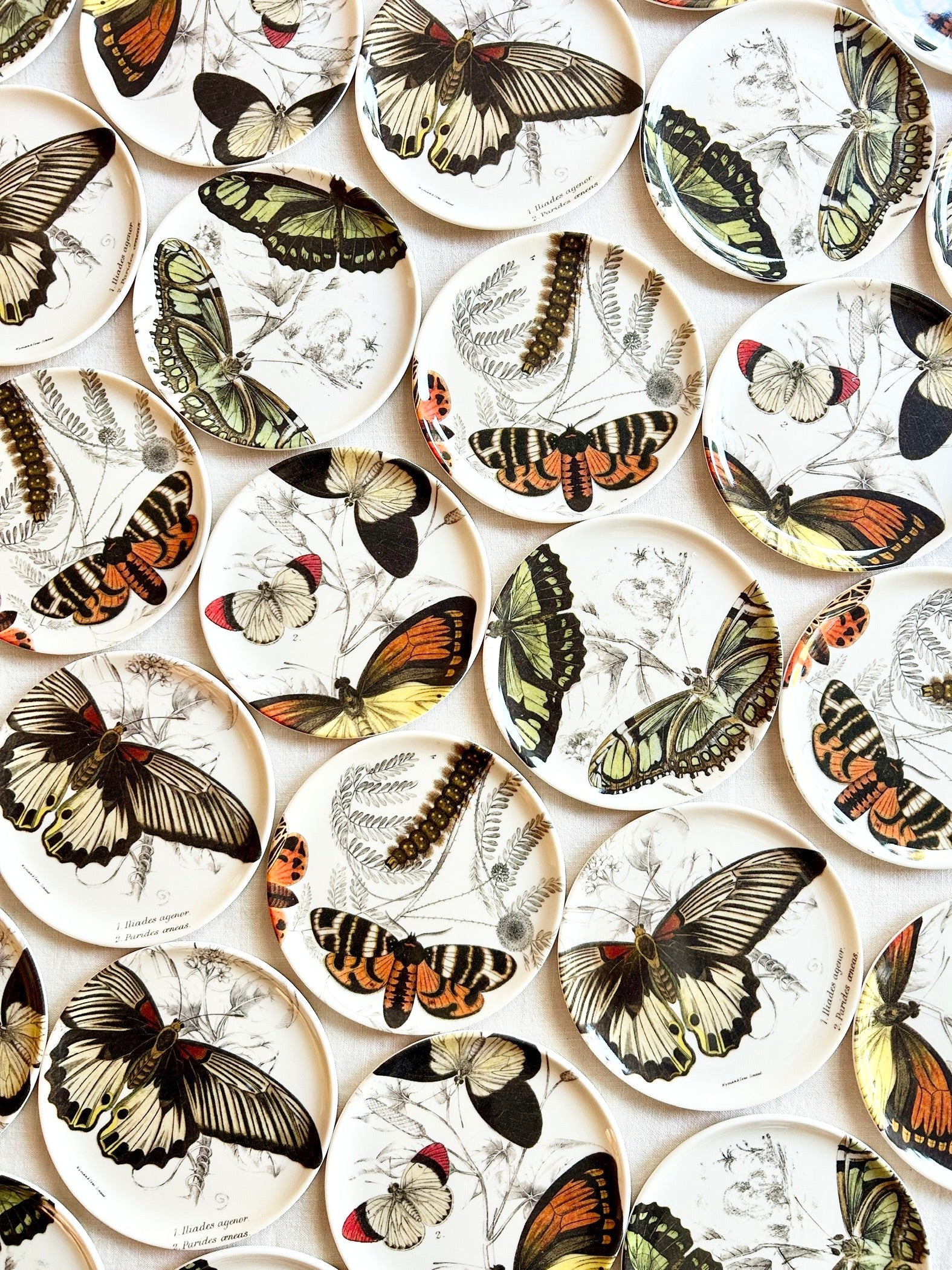 Butterfly Coasters S/4