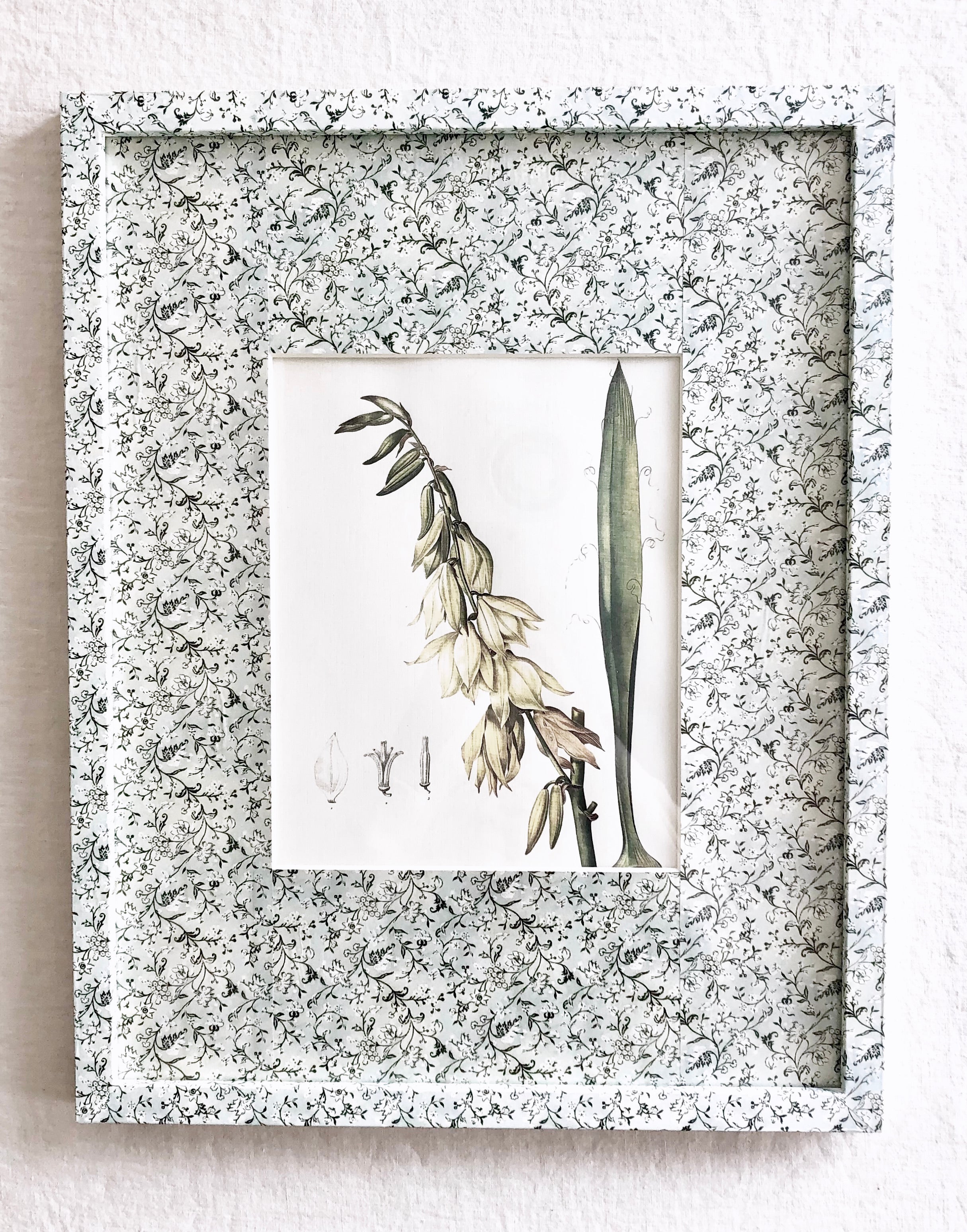 Esperanza Frame  15 x 19" - v2