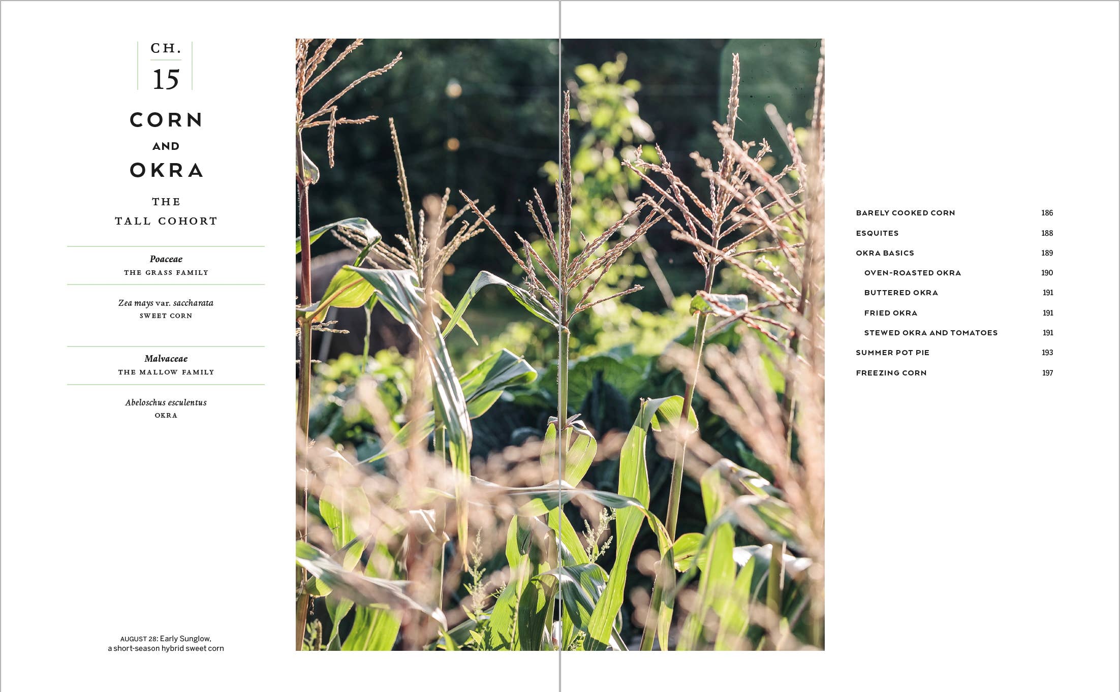 The Cook's Garden - Cookbook