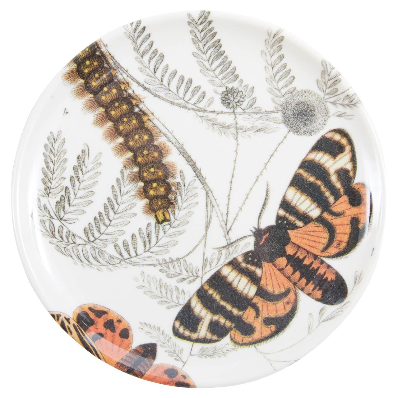 Butterfly Coasters S/4