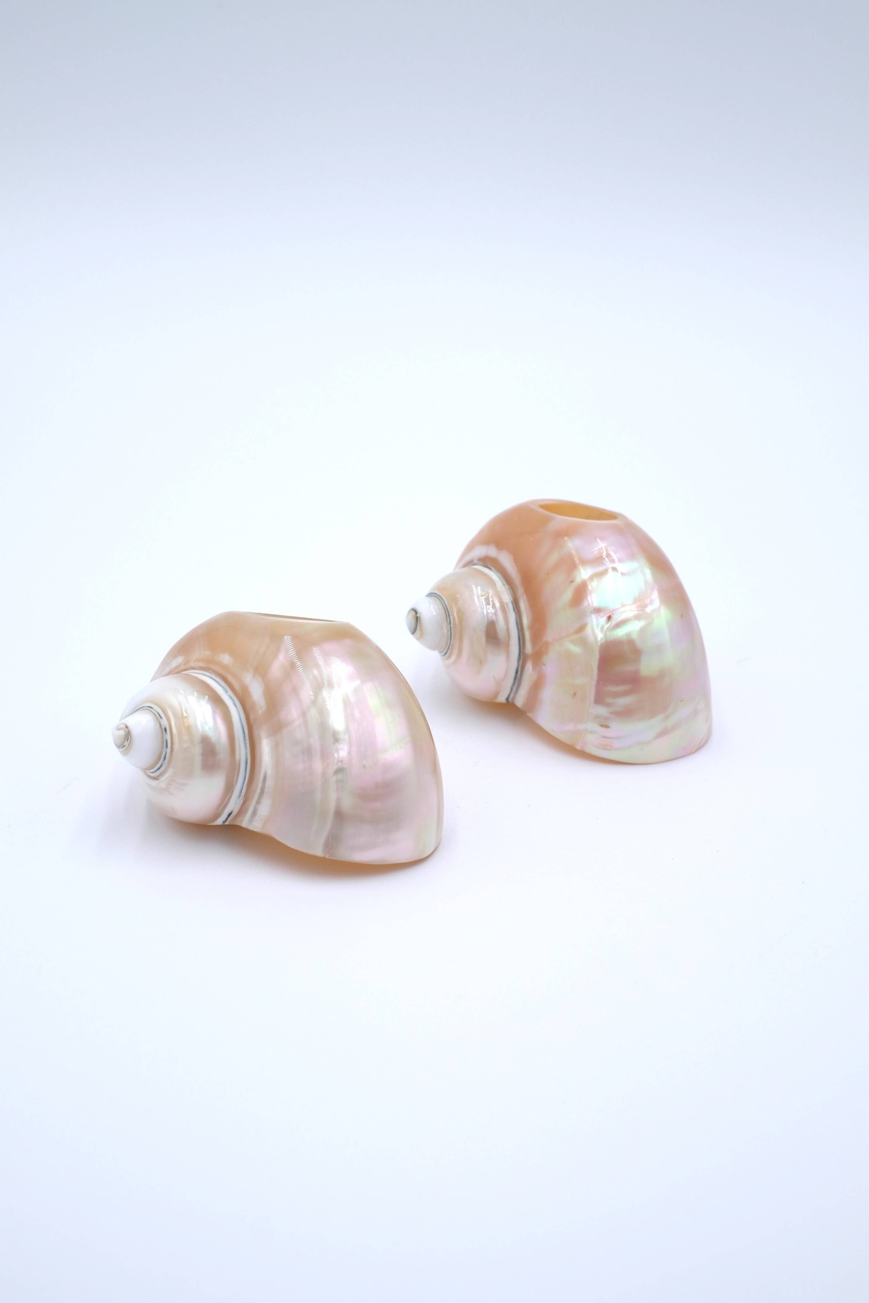 Pearlescent Shell Napkin Rings, S/4