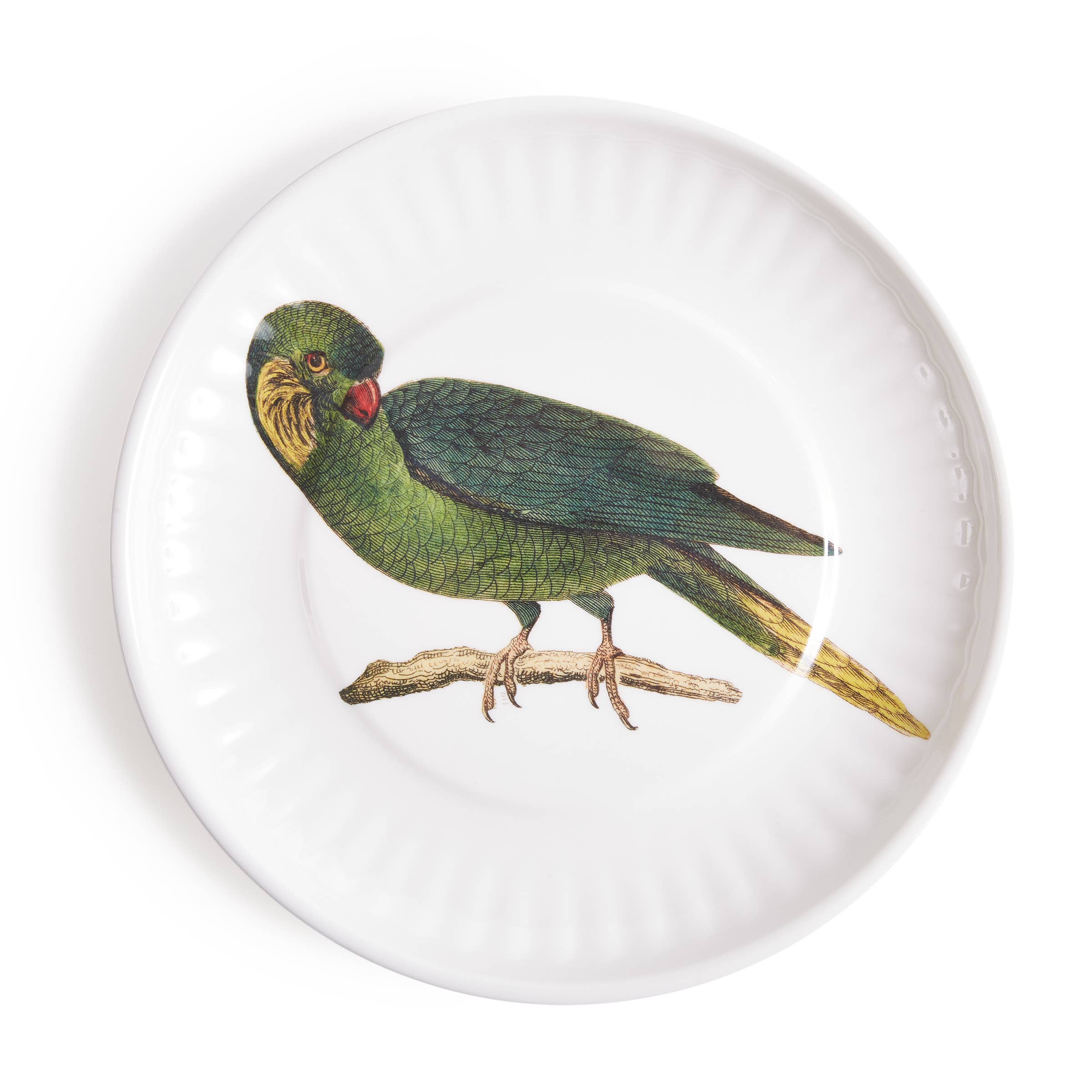 Parrot Melamine Dinner Plates - S/4