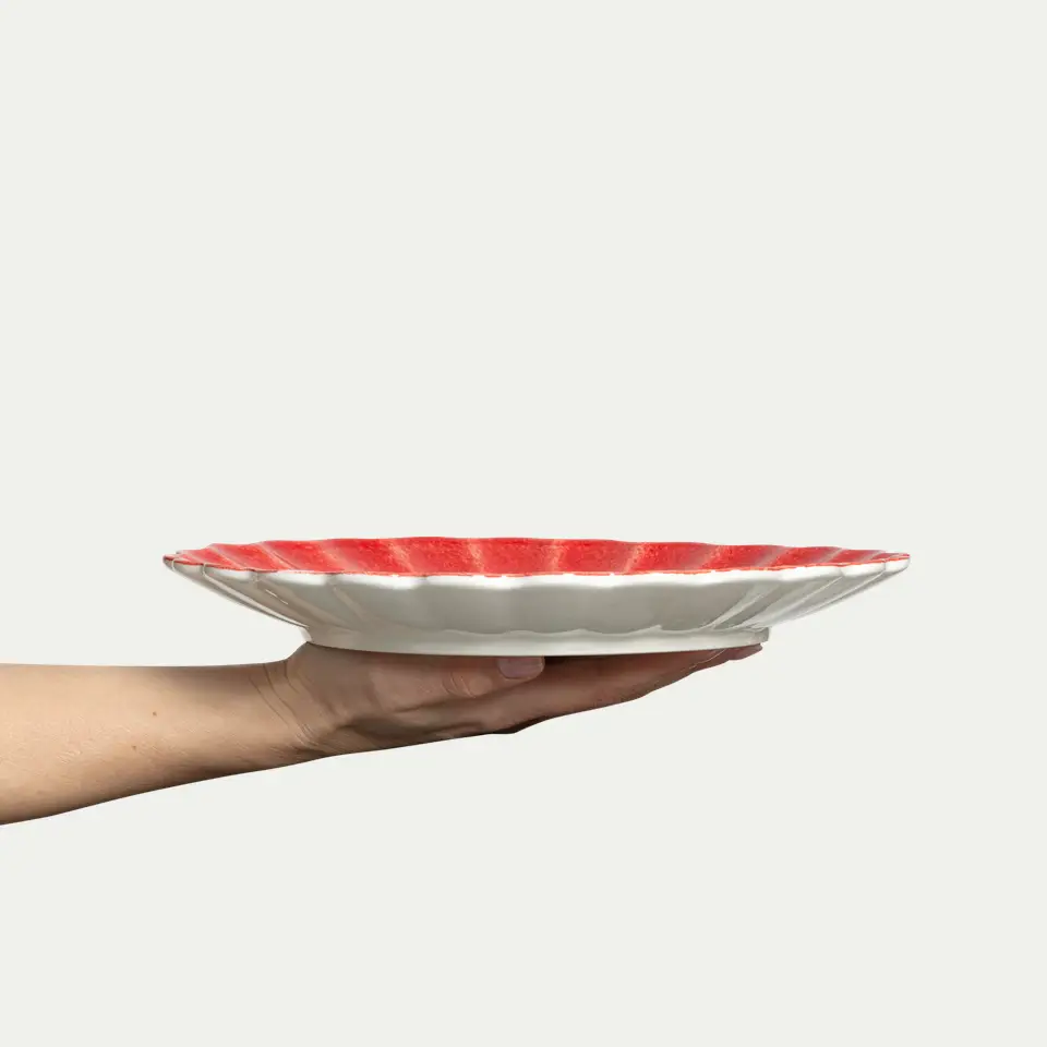 Oyster Dinnerware - Tangerine - S/4