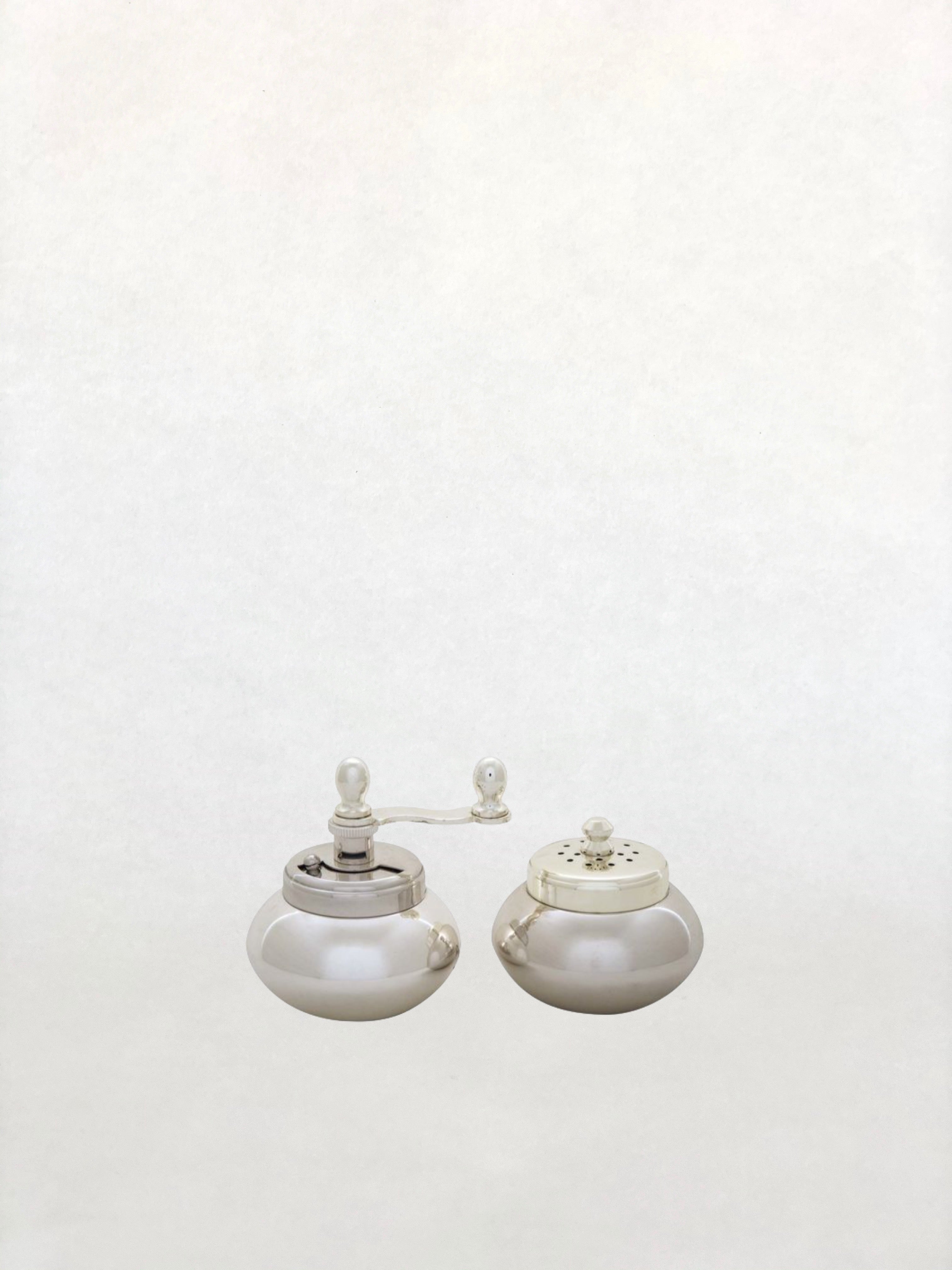 silver salt and pepper mill set
