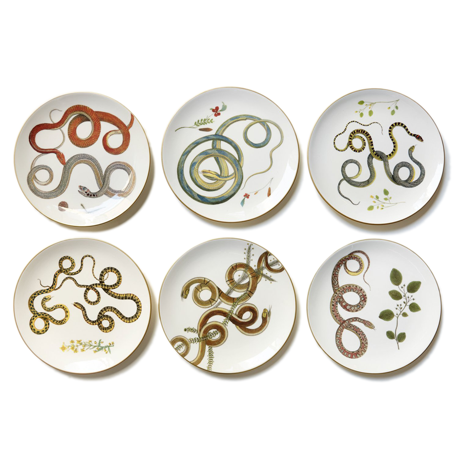 gold rimmed white dinner plate with serpent and leaf 9.5" diameter showing the six different designs