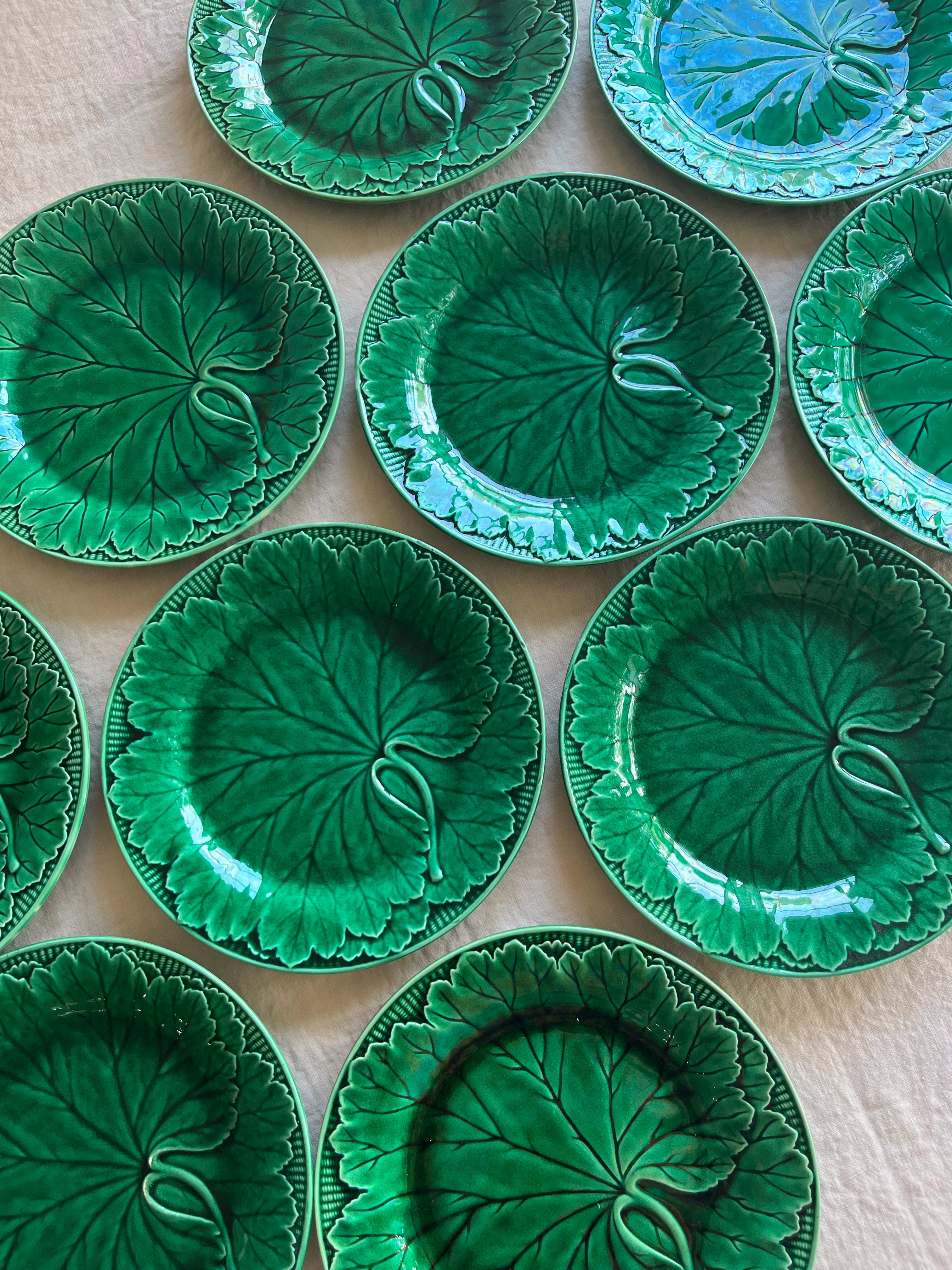 green wedgwood majolica plate in etruria patternon white table