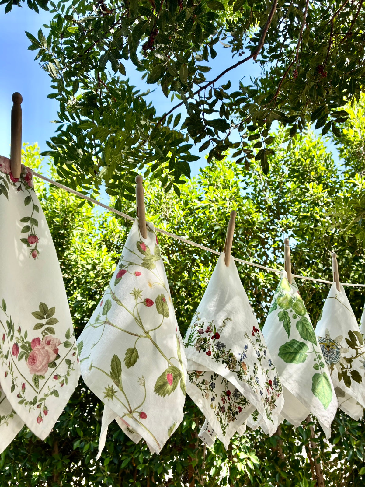 John Derian X SB Botanical Wildflower Napkins -  S/4