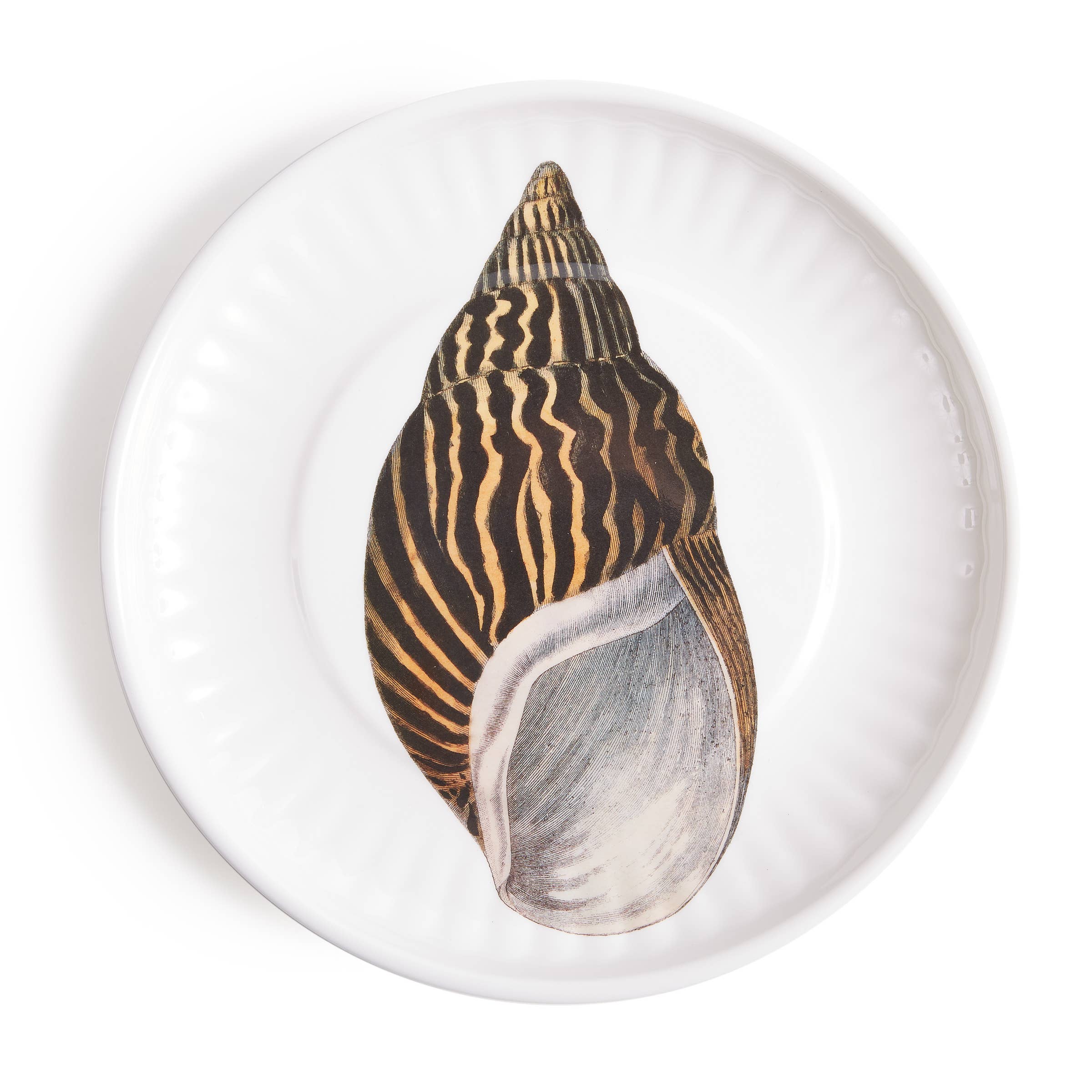 Conch Melamine Dinner  Plates -   S/4