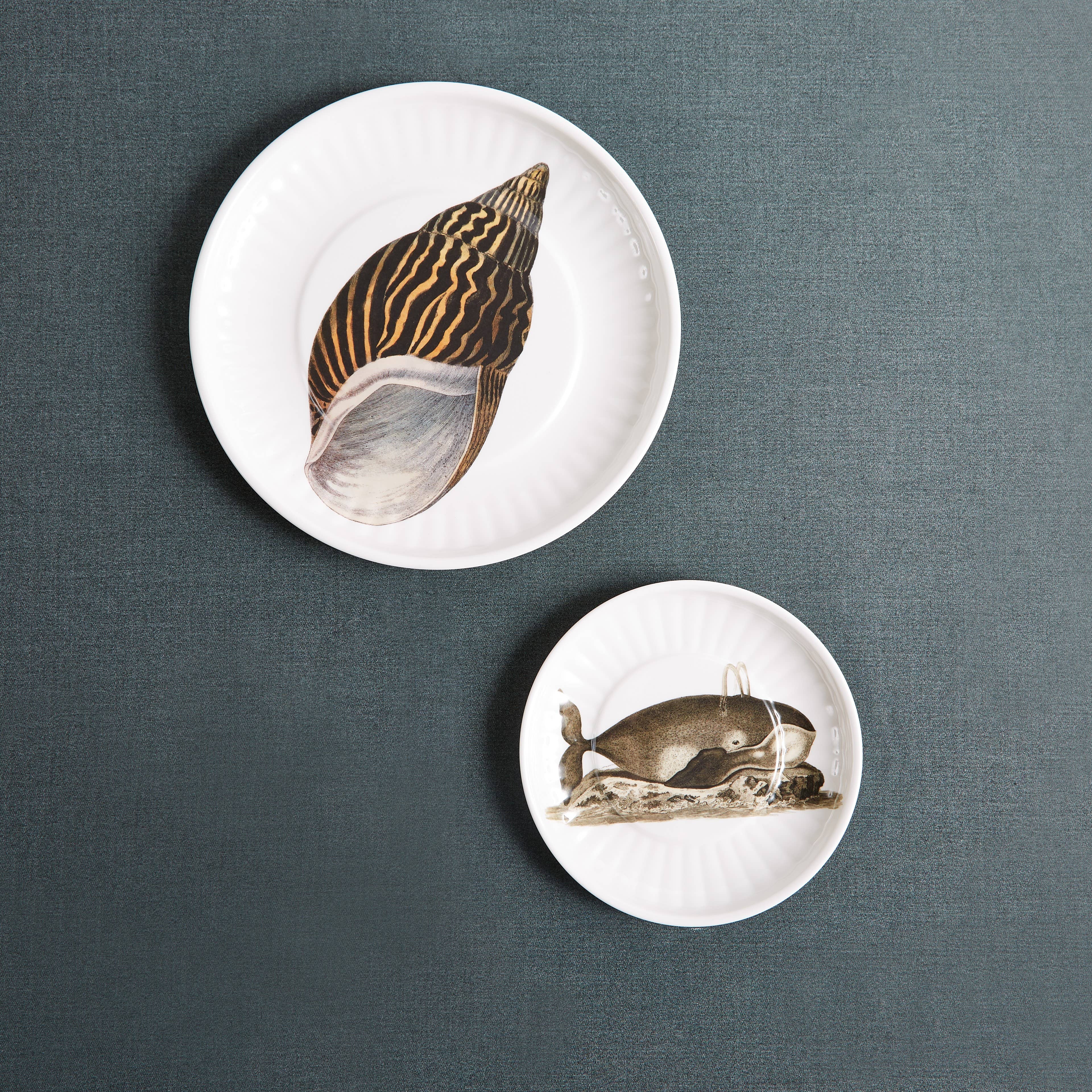 Conch Melamine Dinner  Plates -   S/4