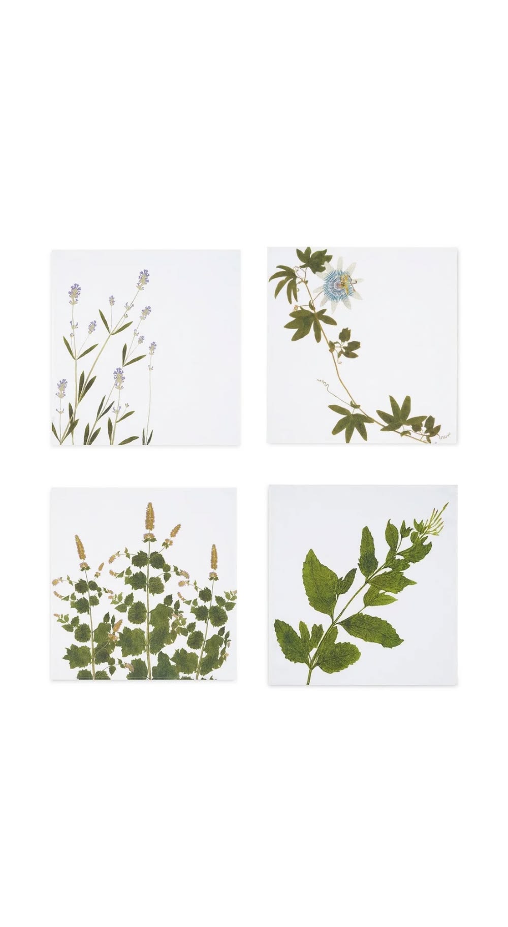 Tisane Herb Napkins -  S/4