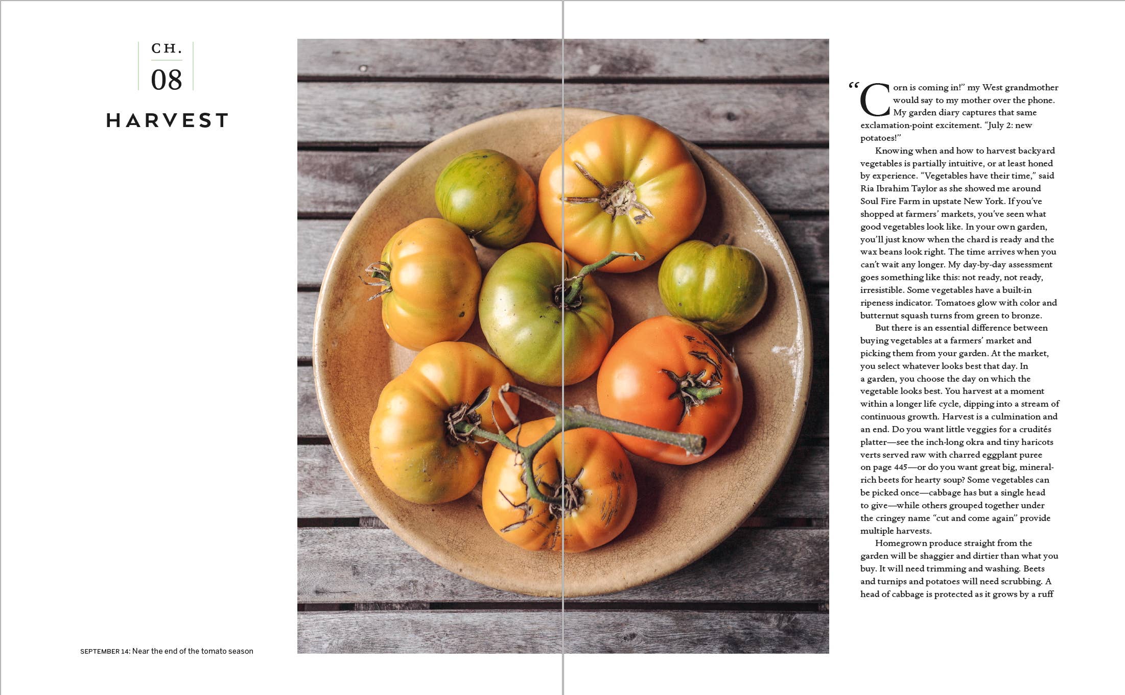 The Cook's Garden - Cookbook