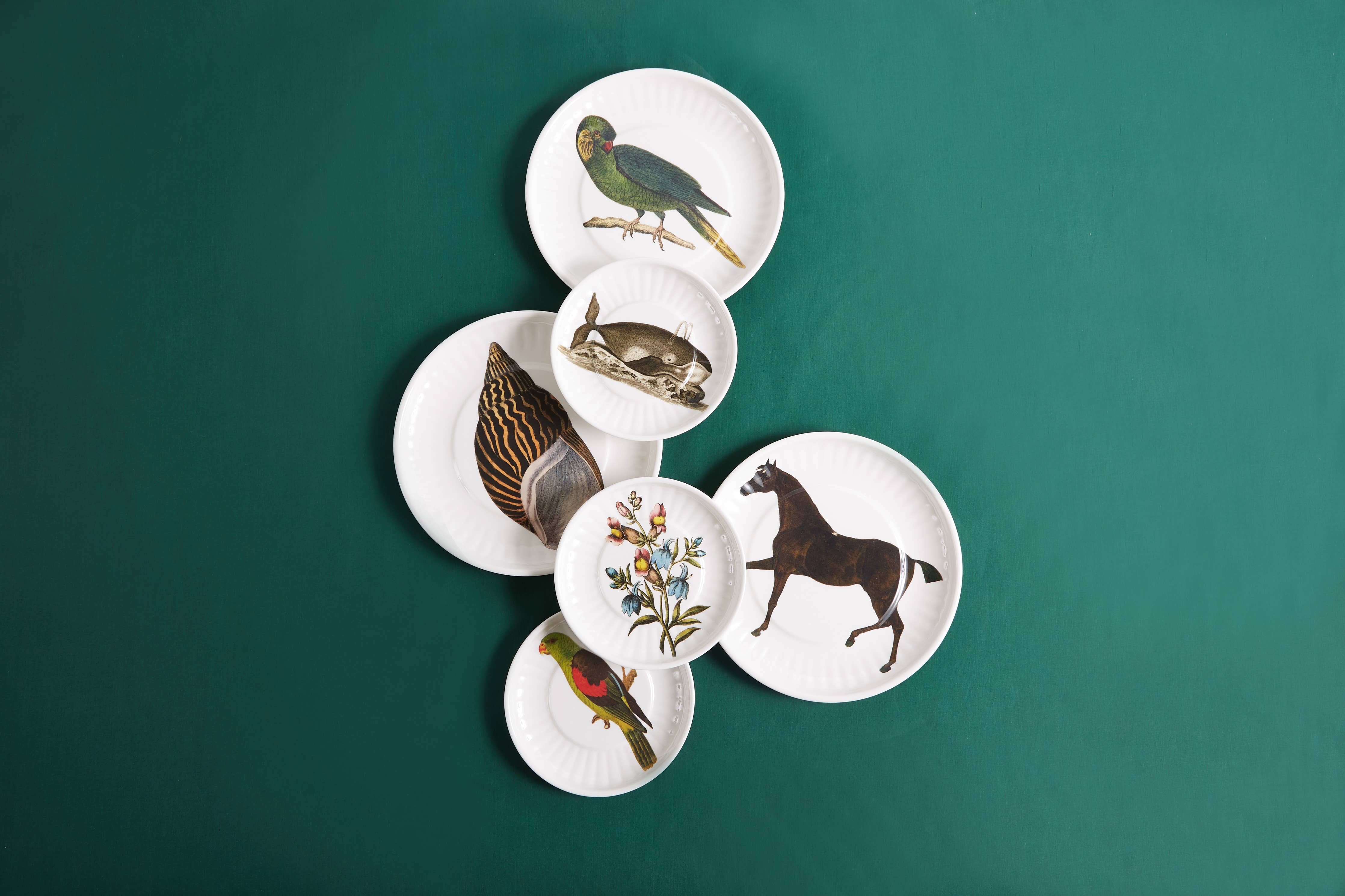 Parrot Melamine Dinner Plates -  S/4