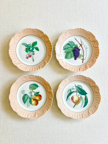 Historic Mottahedeh Fruit Plates - Set of 10