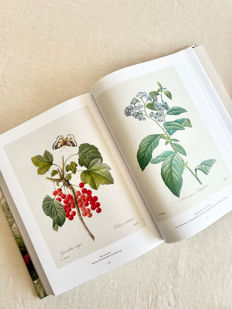 Redouté ~ The Book of Flowers XL- Art Book