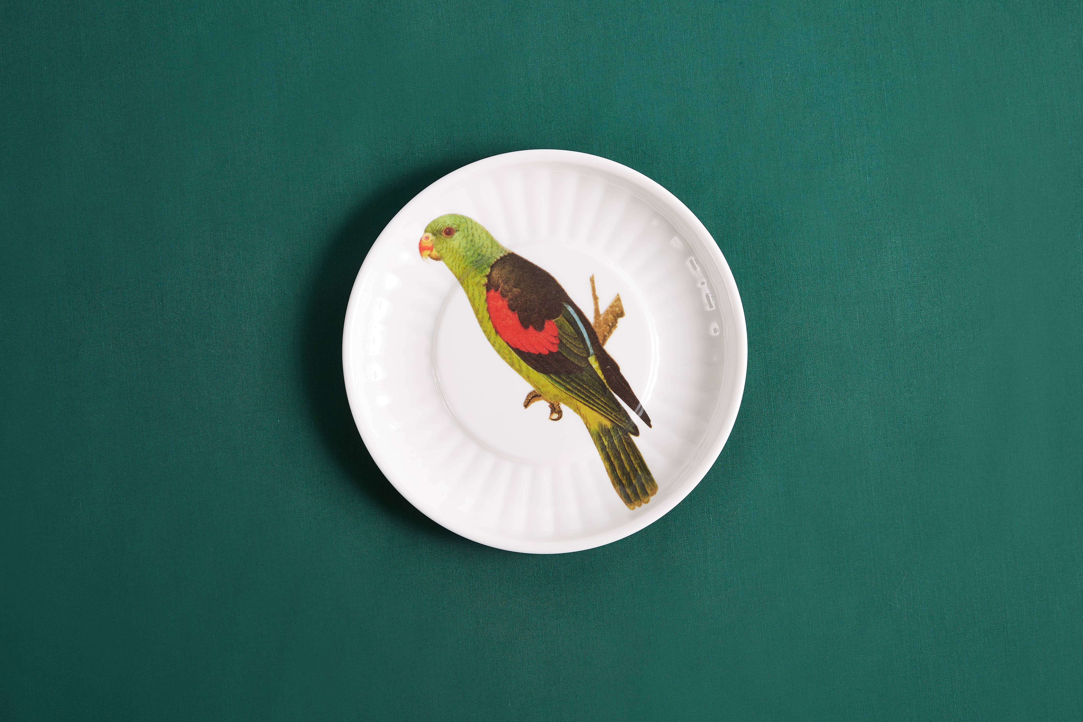 Parrot Melamine Fruit Plates - S/4
