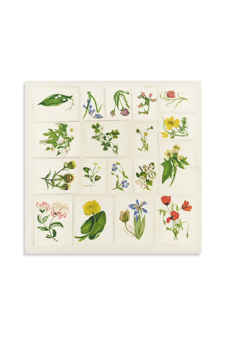 John Derian X SB Botanical Tiles Napkins -  S/4