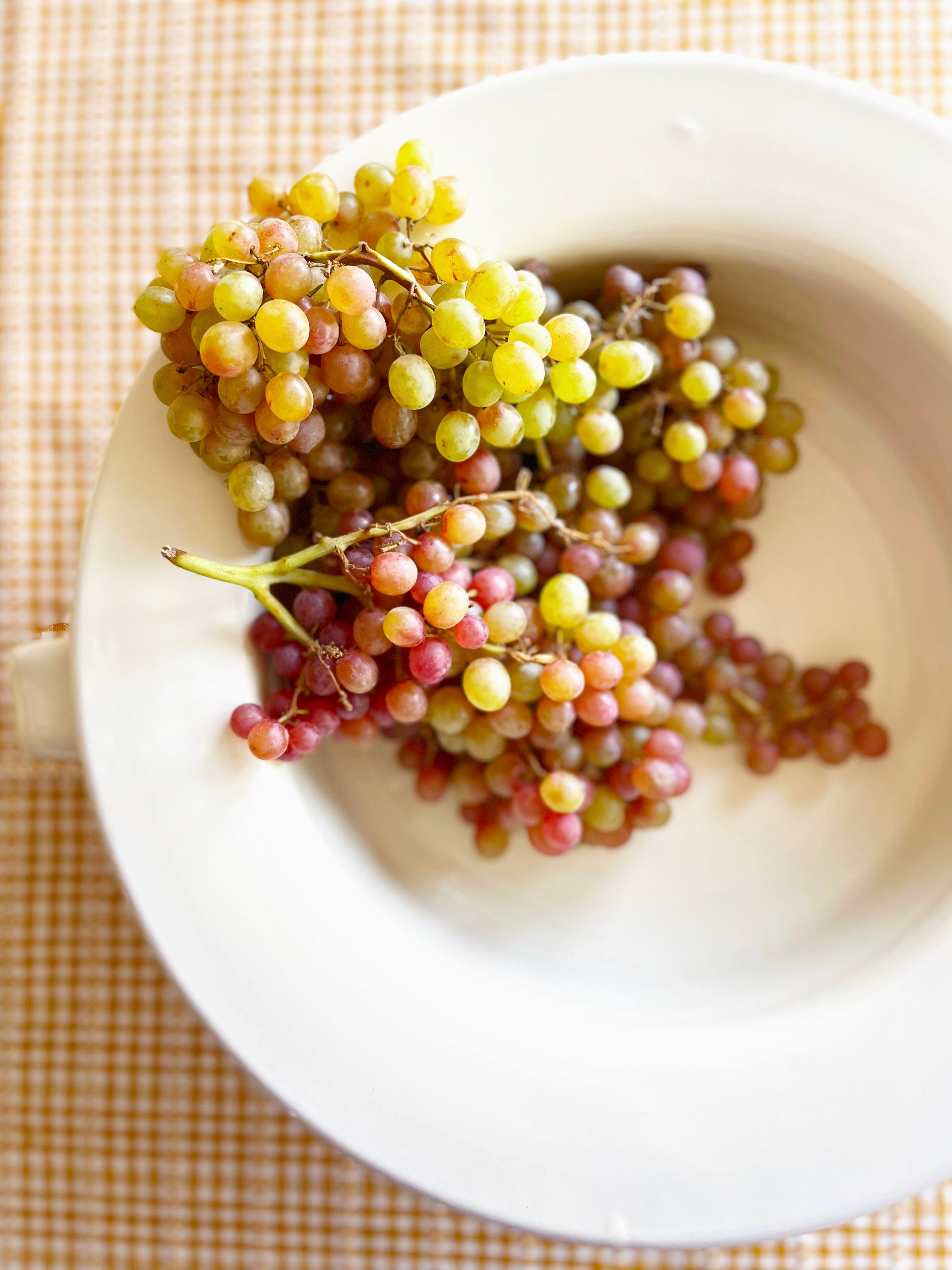 Pompeii Handled Fruit Bowl - Cream