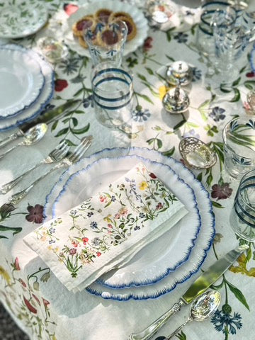 John Derian X SB Botanical Wildflower Napkins -  S/4