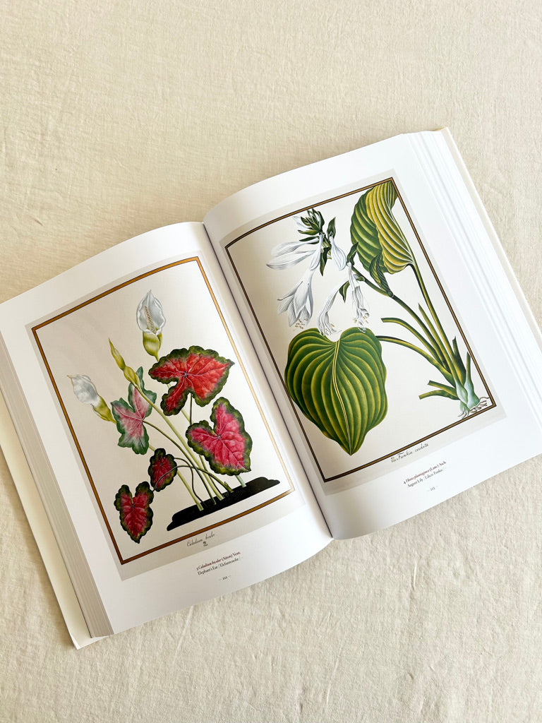 A Garden Eden. Masterpieces of Botanical Illustration- Art Book