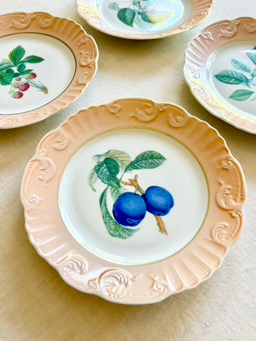 Historic Mottahedeh Fruit Plates - Set of 10