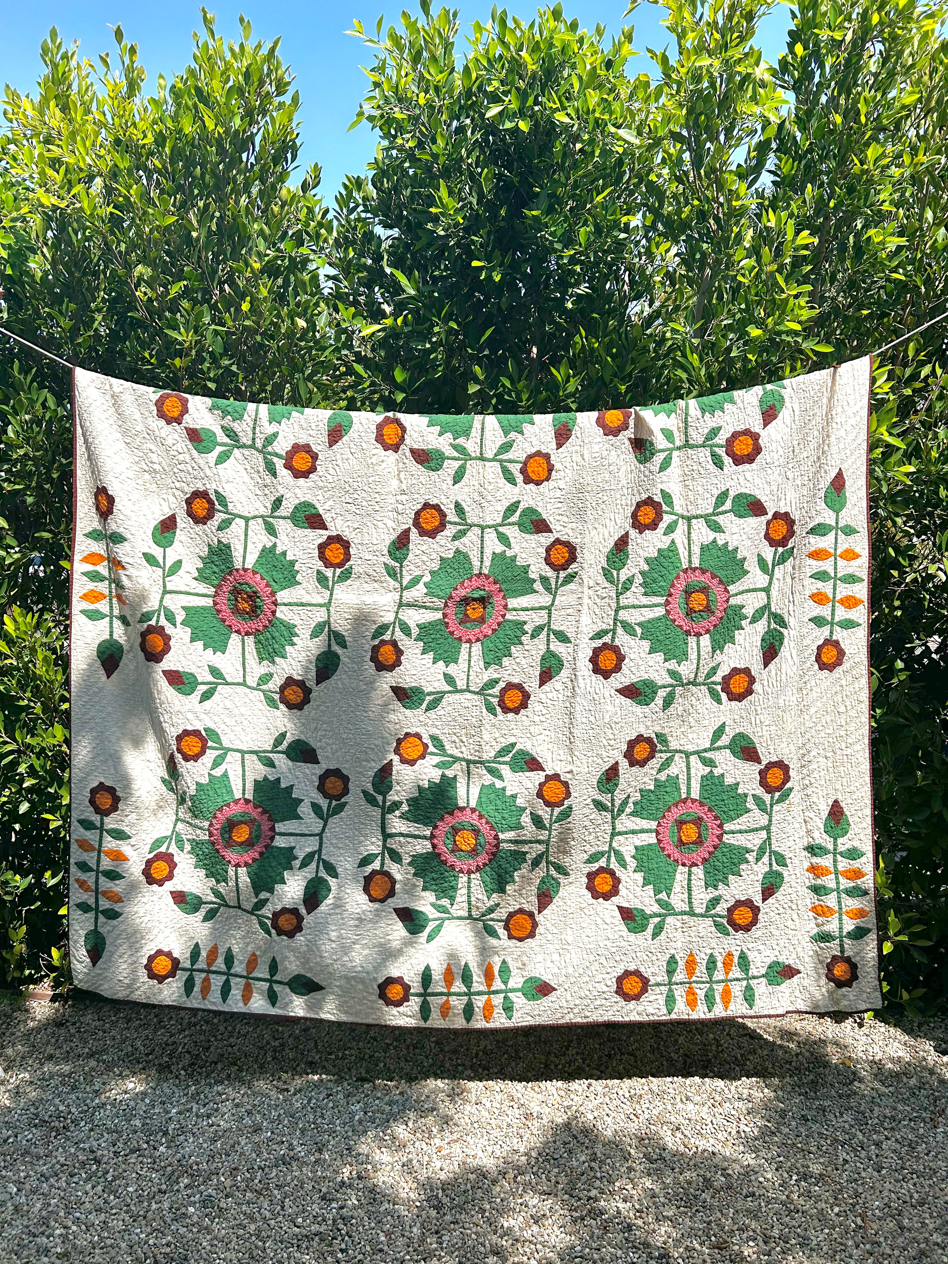 Historic Aster Heirloom Quilt 1800's