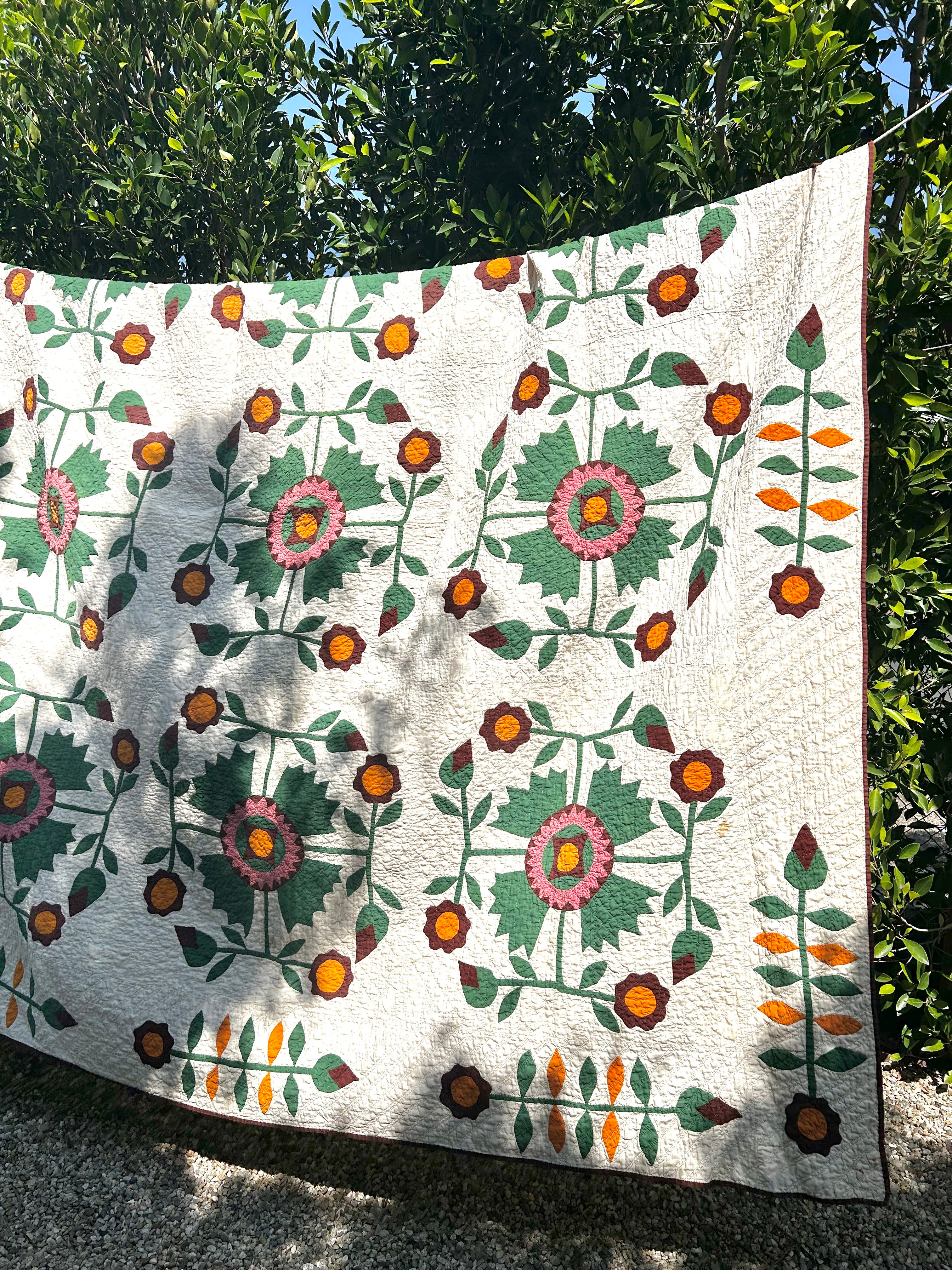 Historic Aster Heirloom Quilt 1800's
