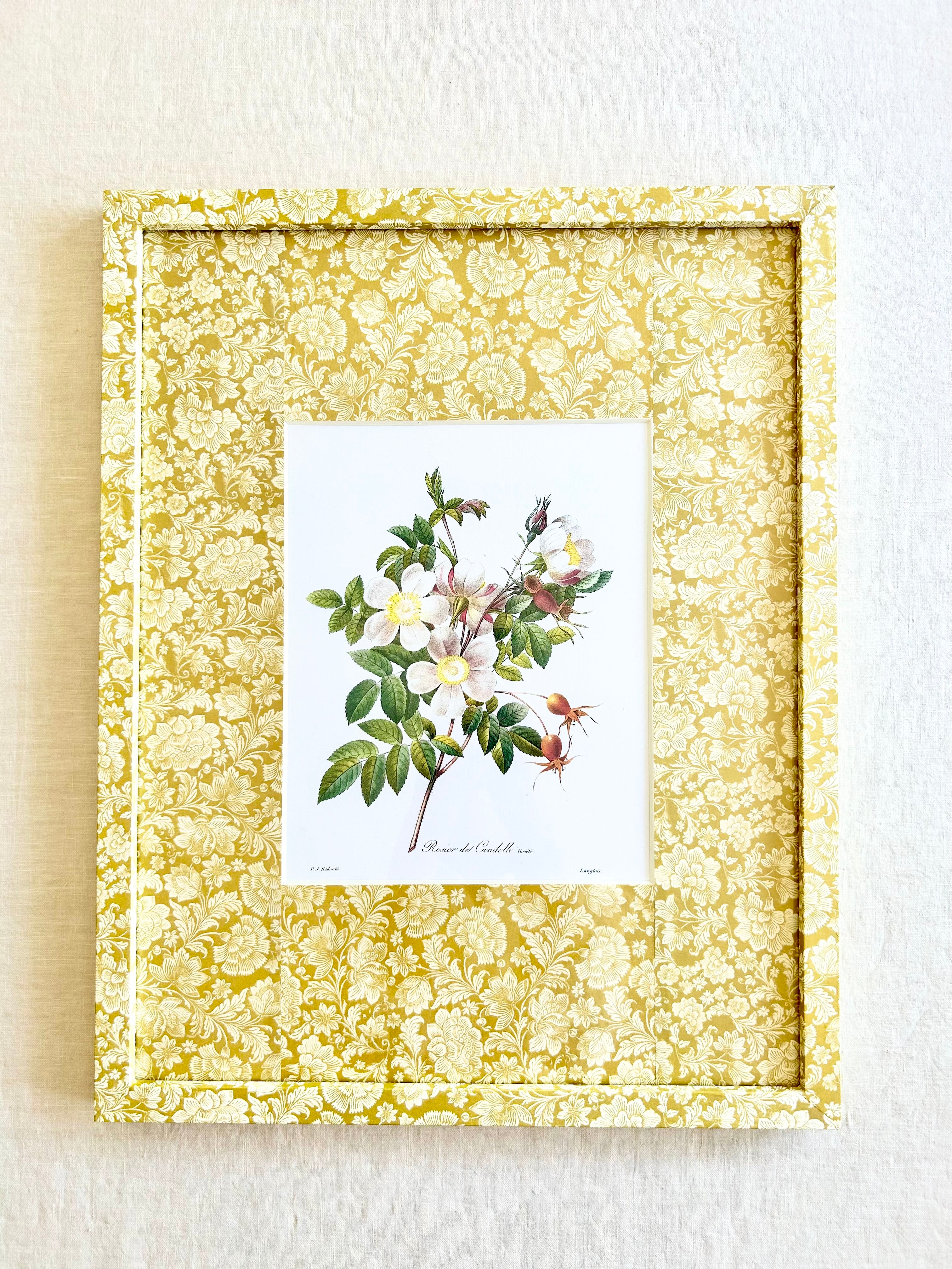 Frame  15 x 19" - Golden Dianthus I